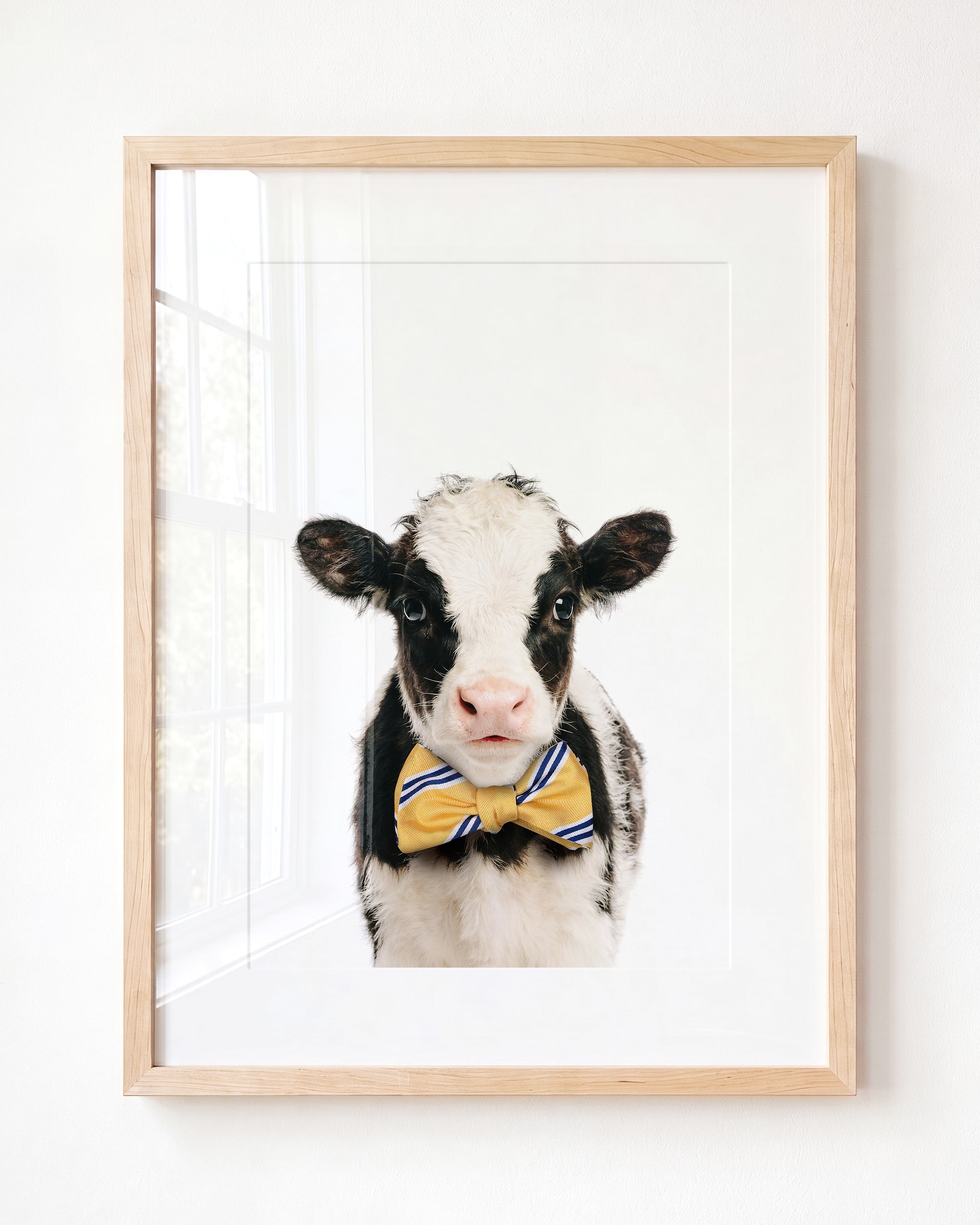 Baby Cow