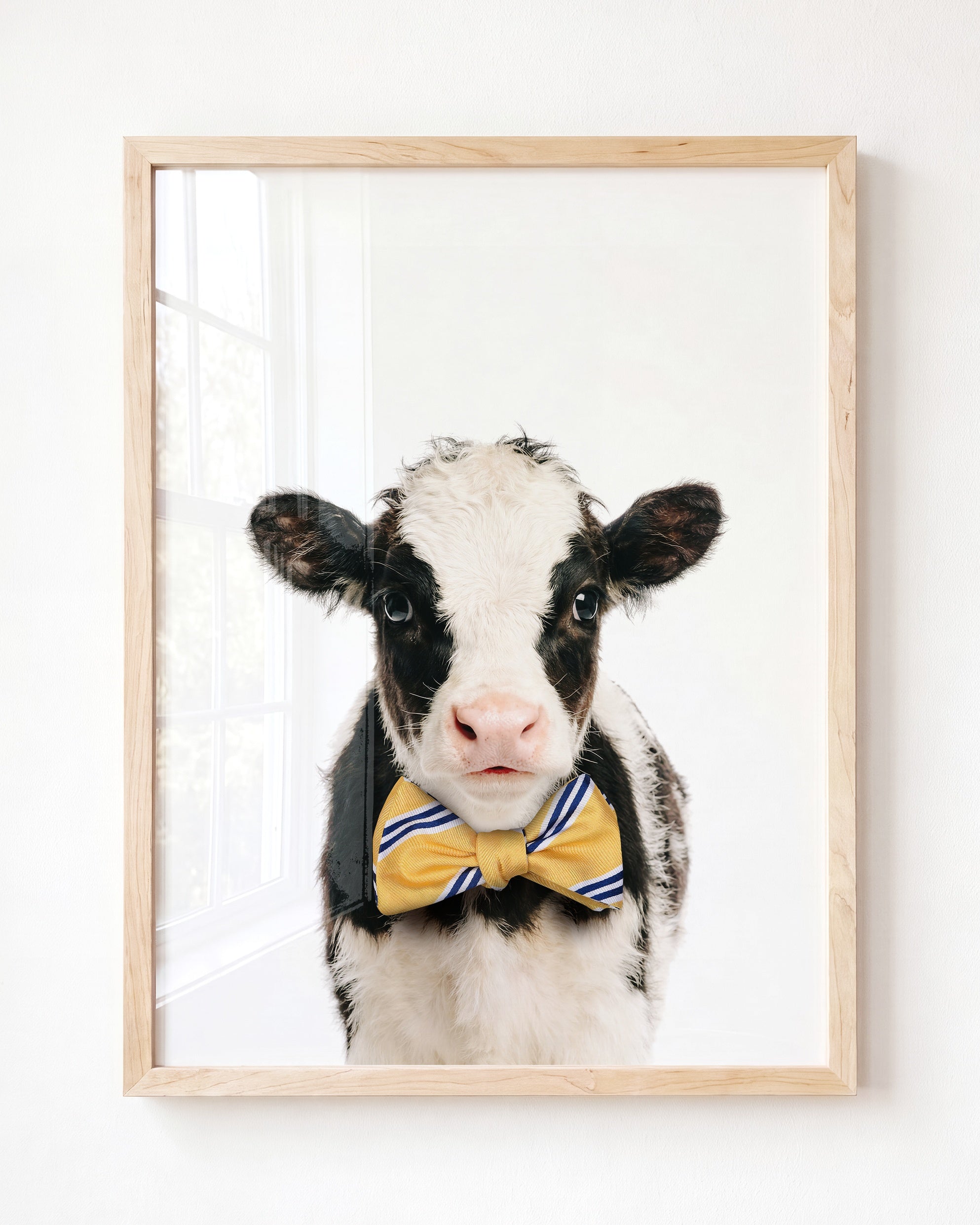 Baby Cow