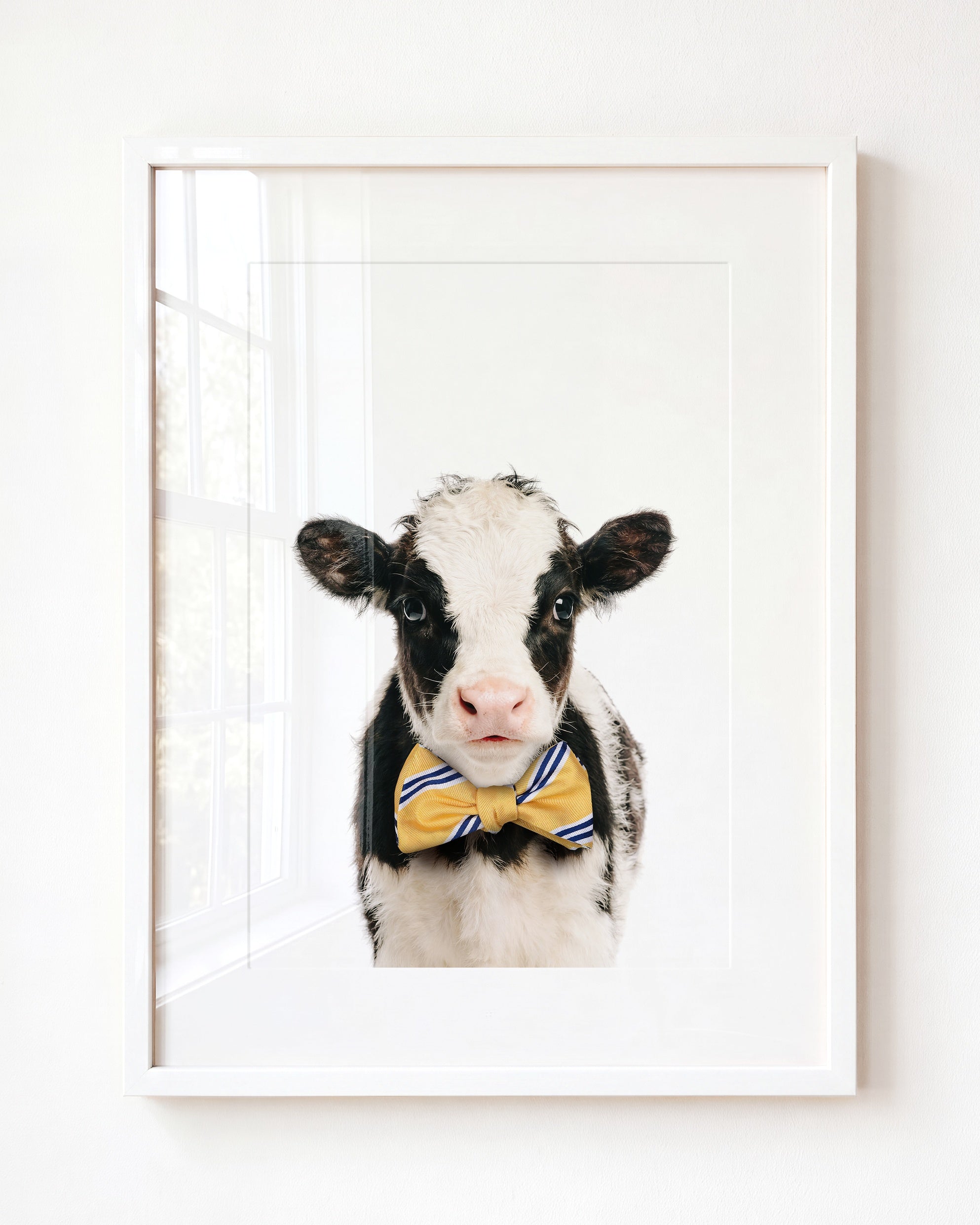 Baby Cow