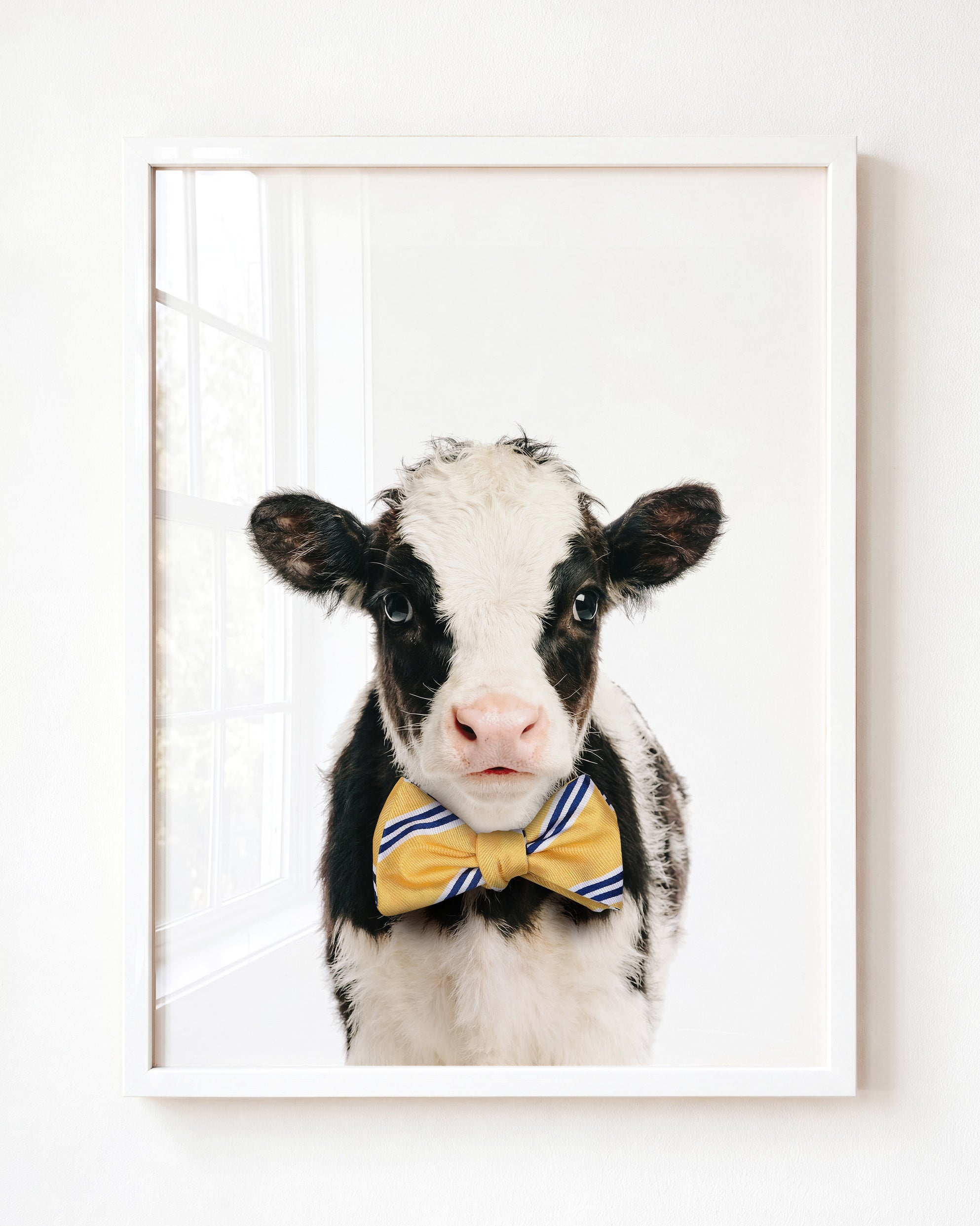 Baby Cow