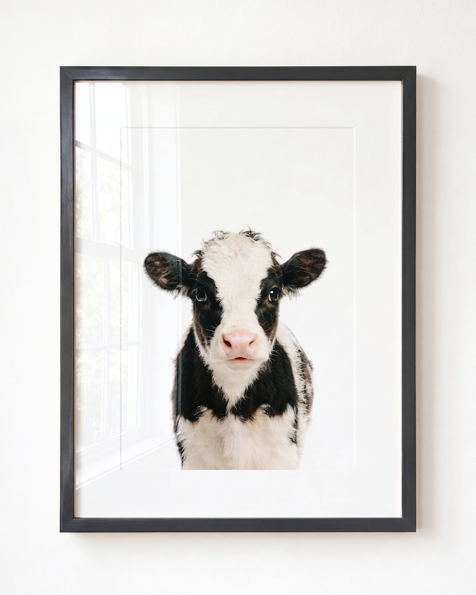 Baby Cow