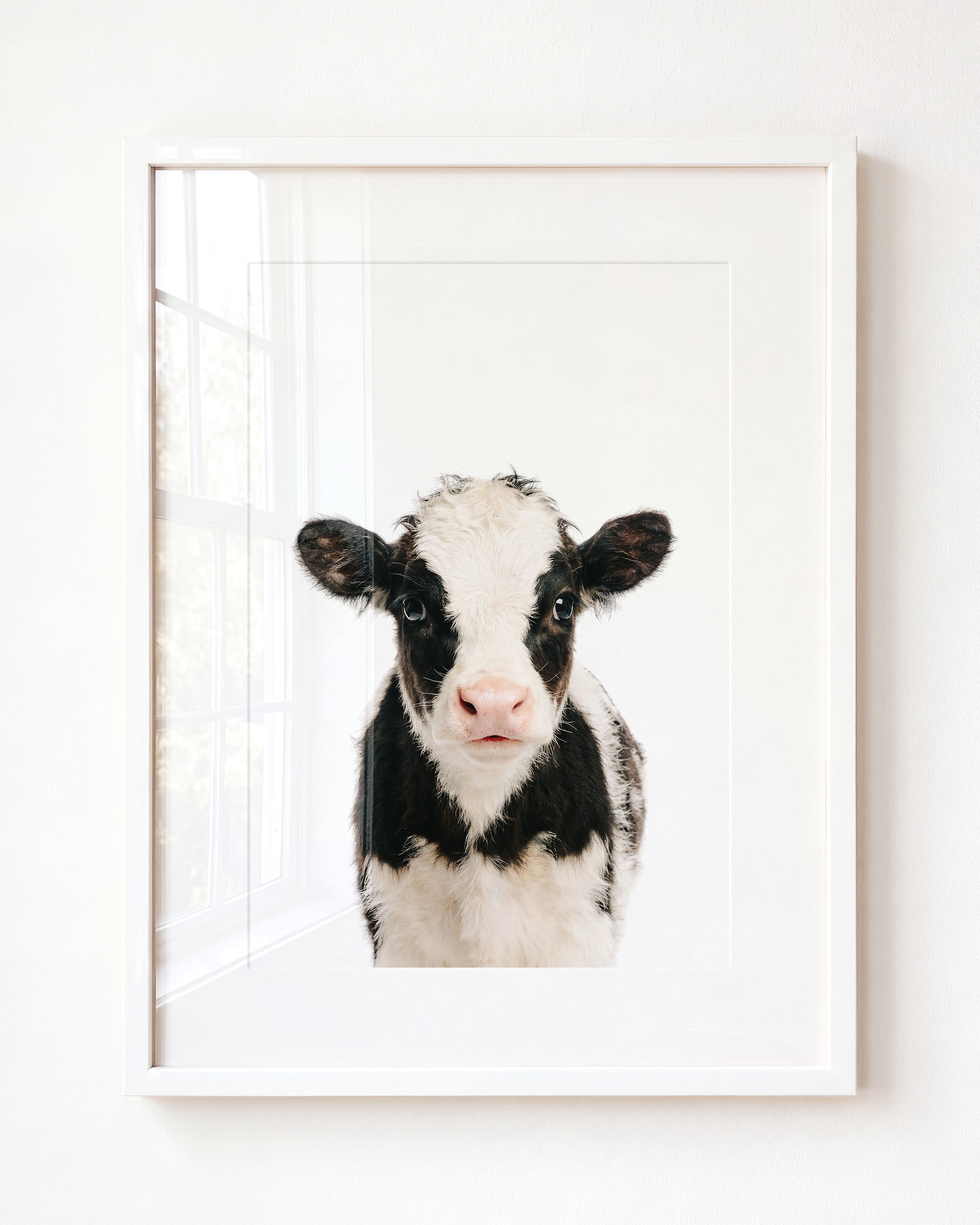 Baby Cow