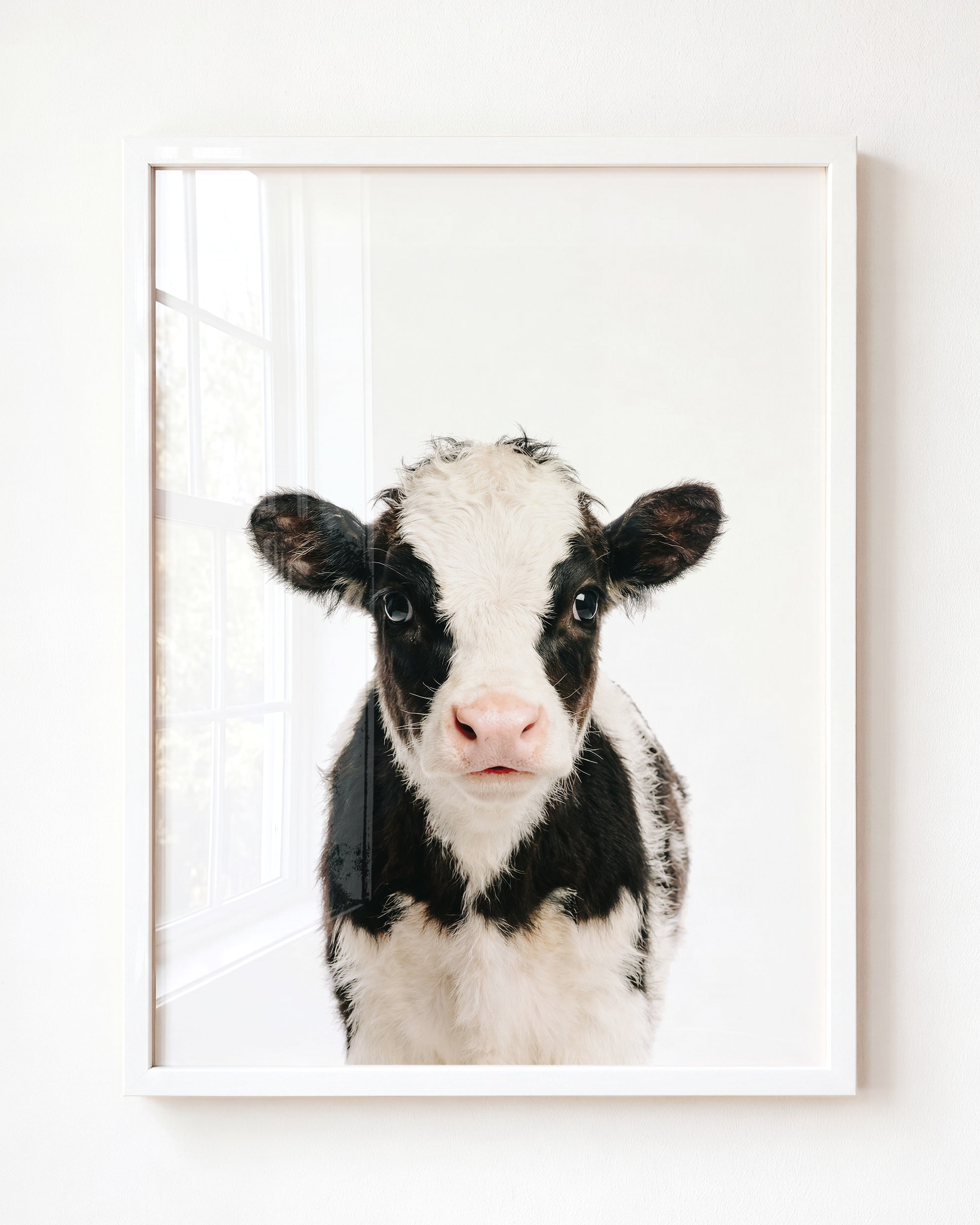 Baby Cow