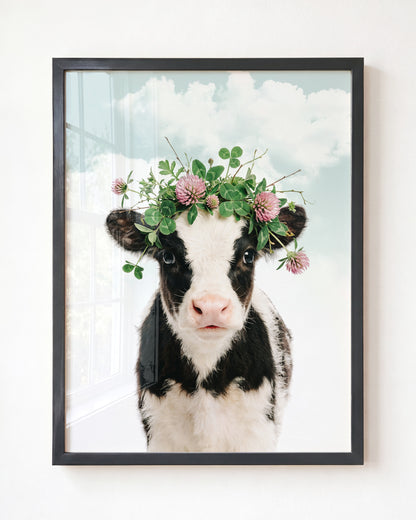 Baby Cow