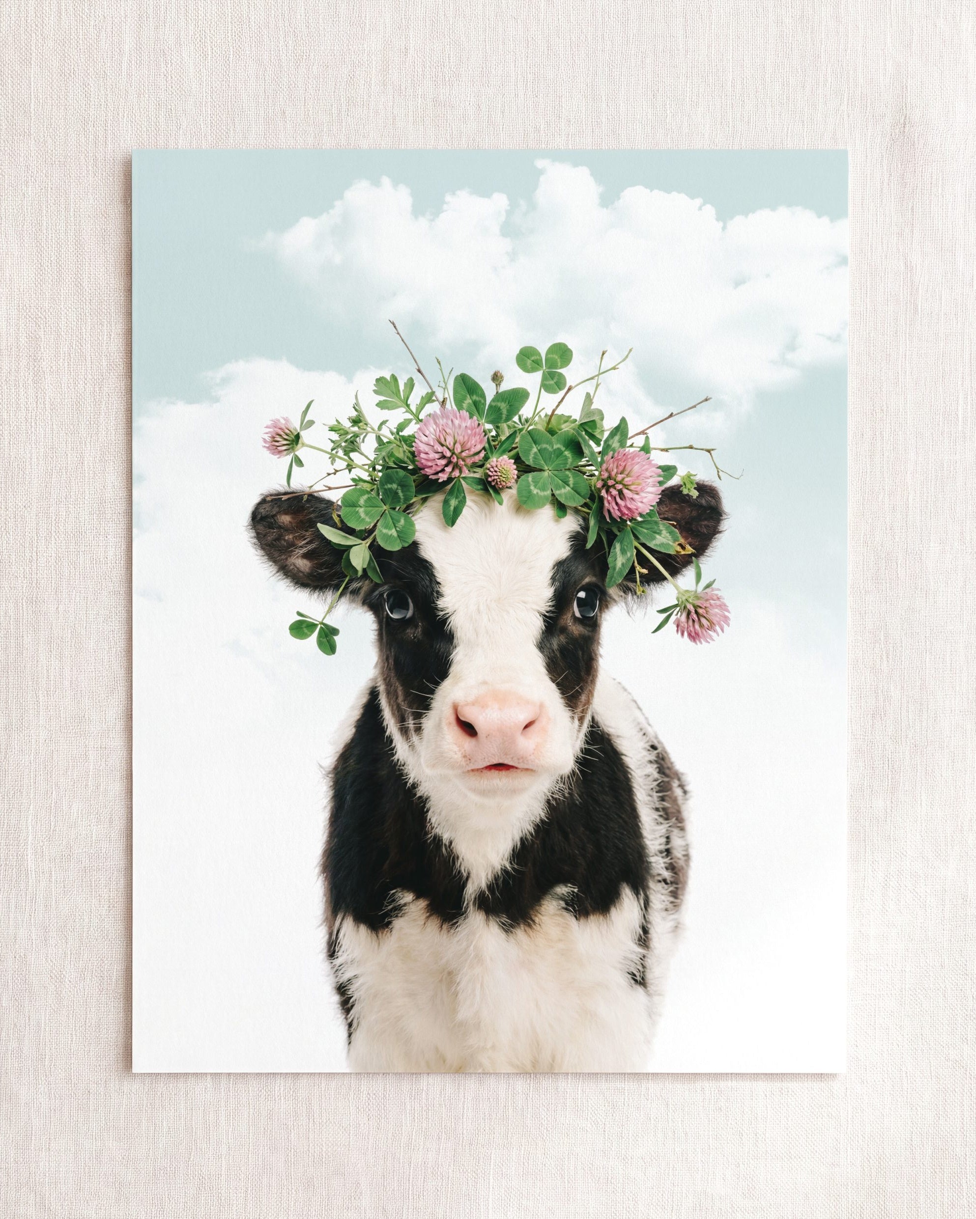 Baby Cow