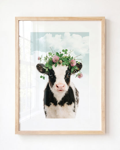 Baby Cow