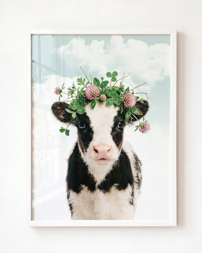 Baby Cow