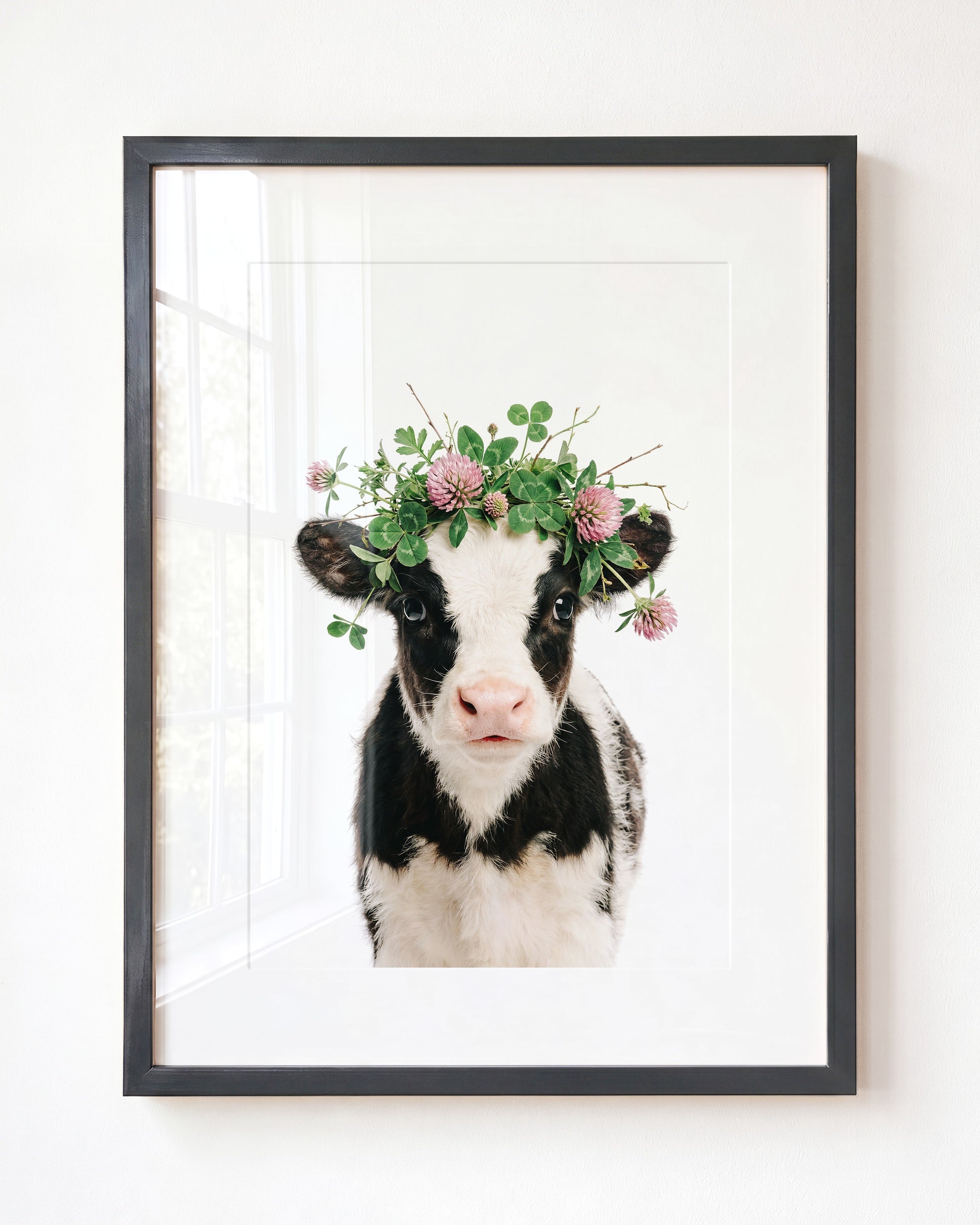 Baby Cow