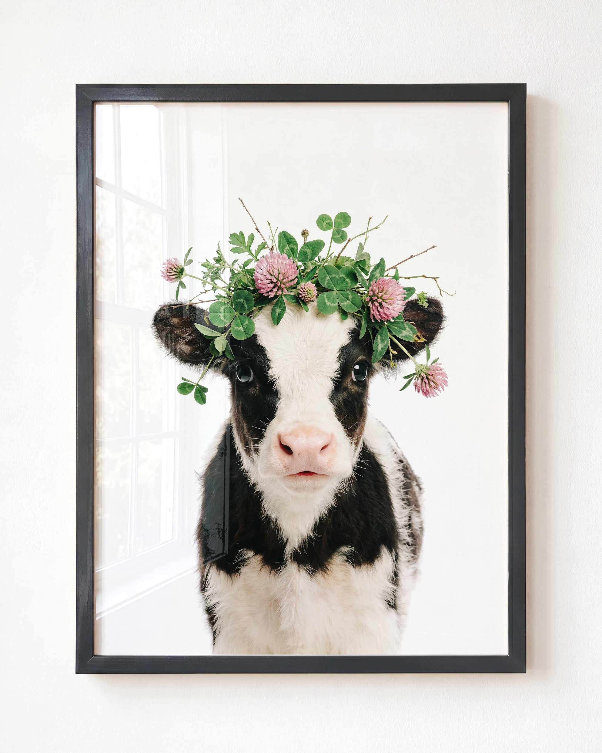 Baby Cow