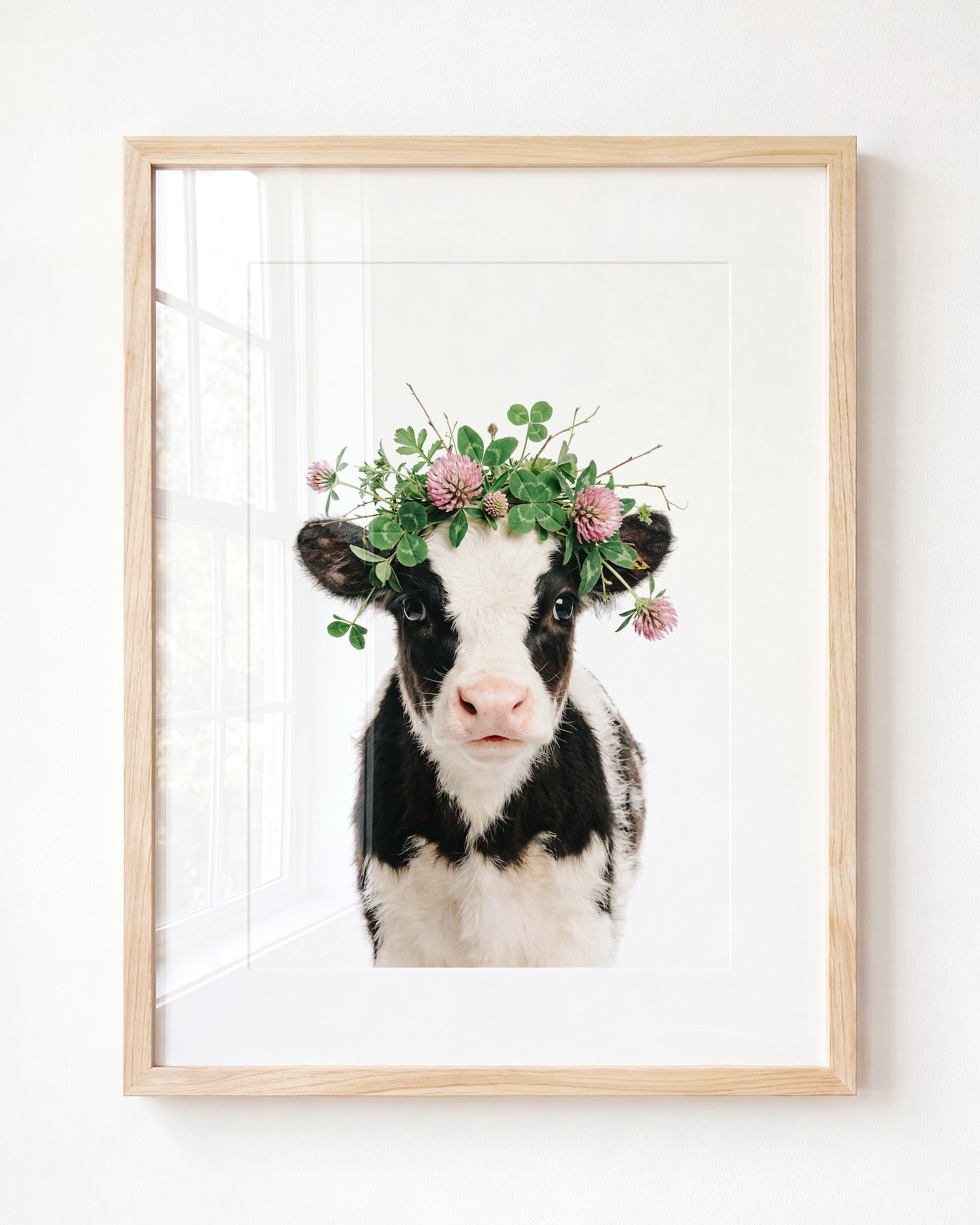 Baby Cow