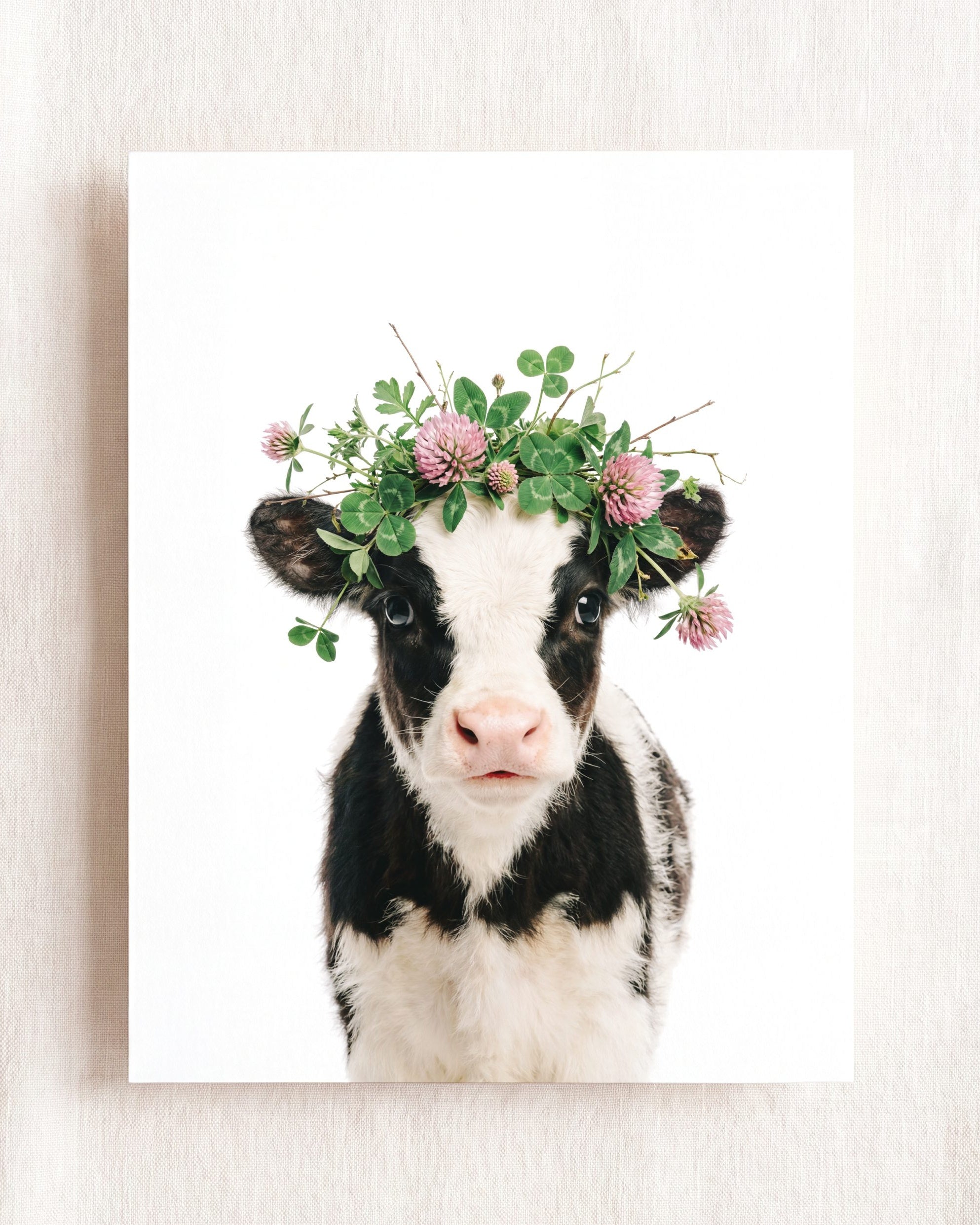Baby Cow