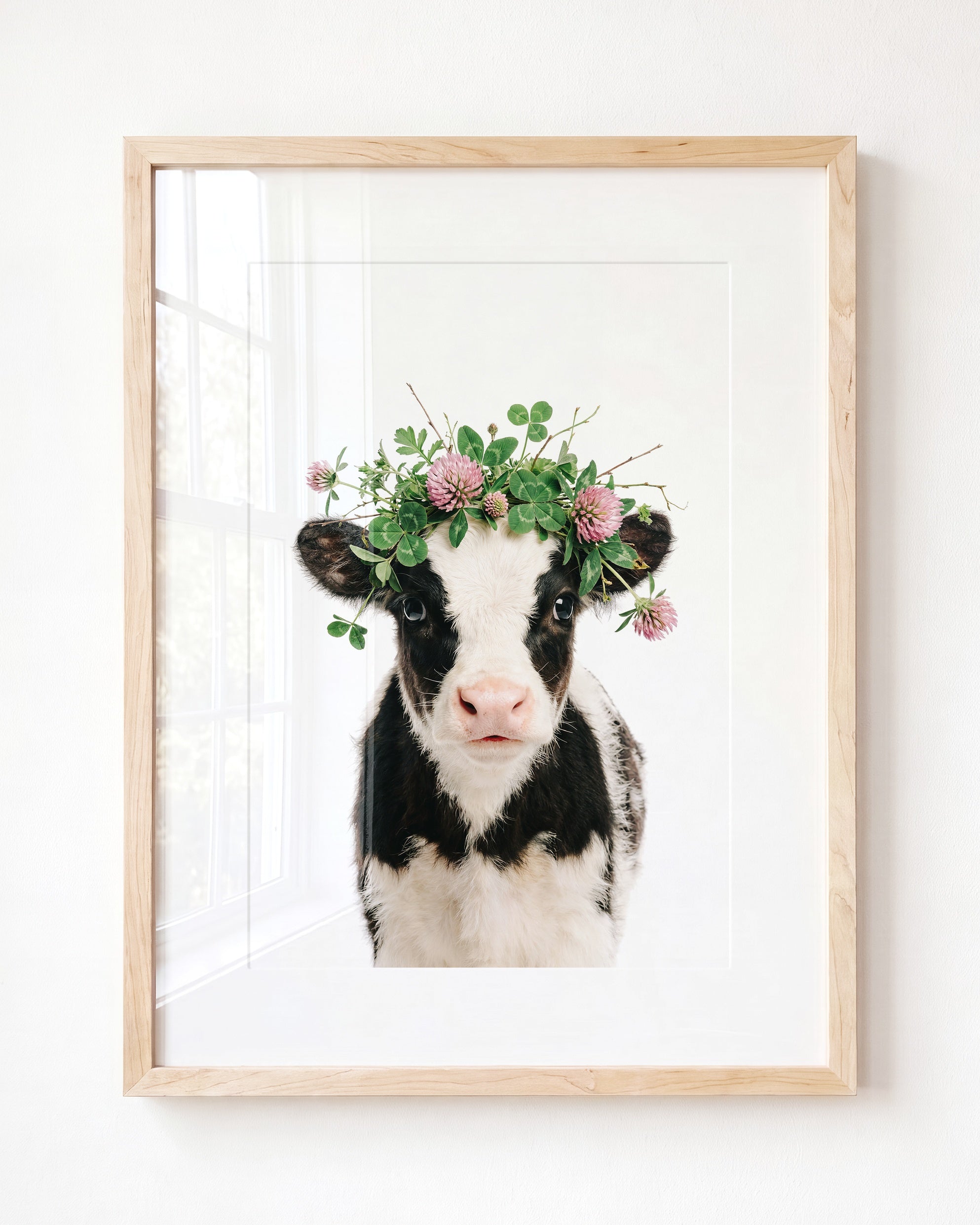 Baby Cow