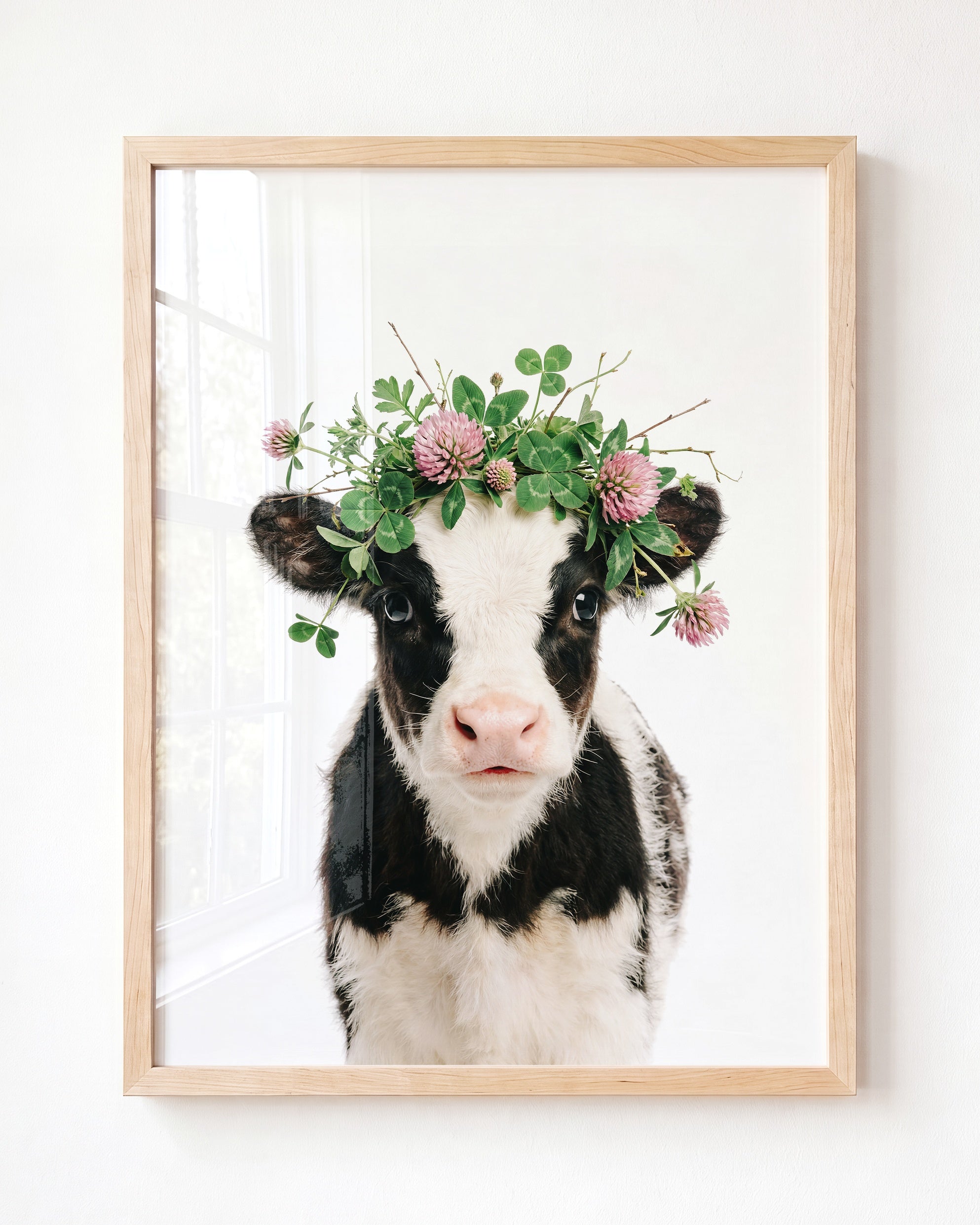 Baby Cow