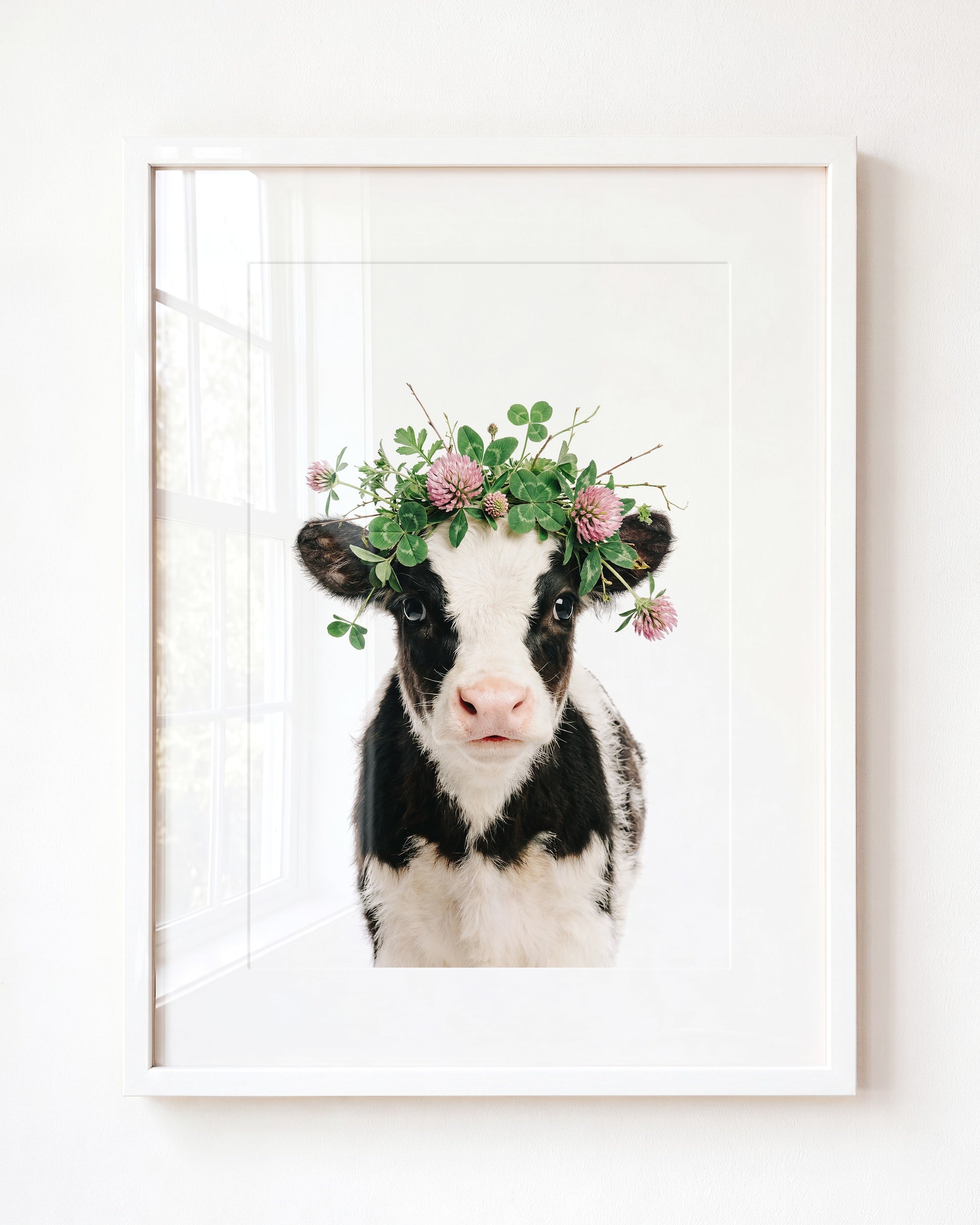 Baby Cow