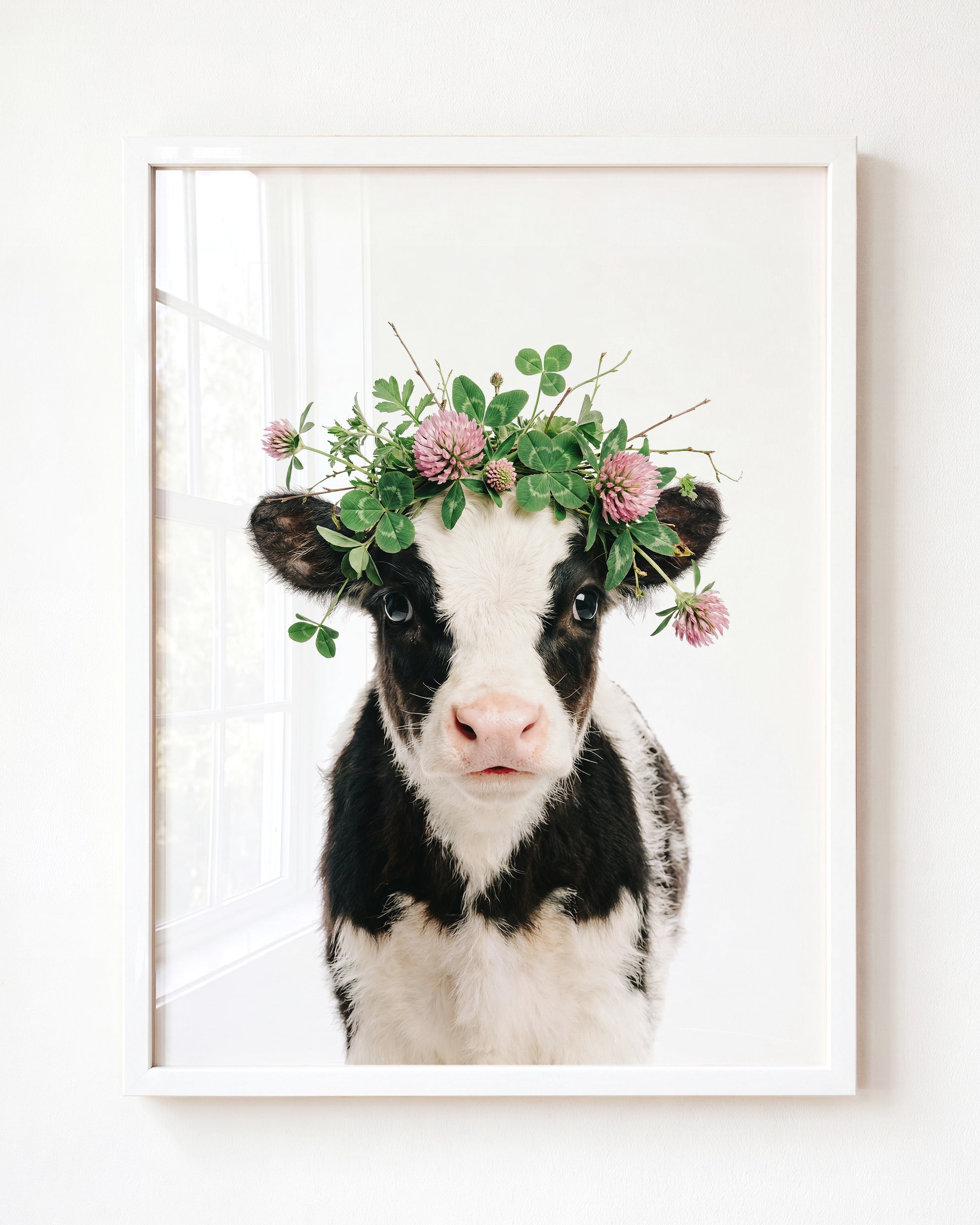 Baby Cow
