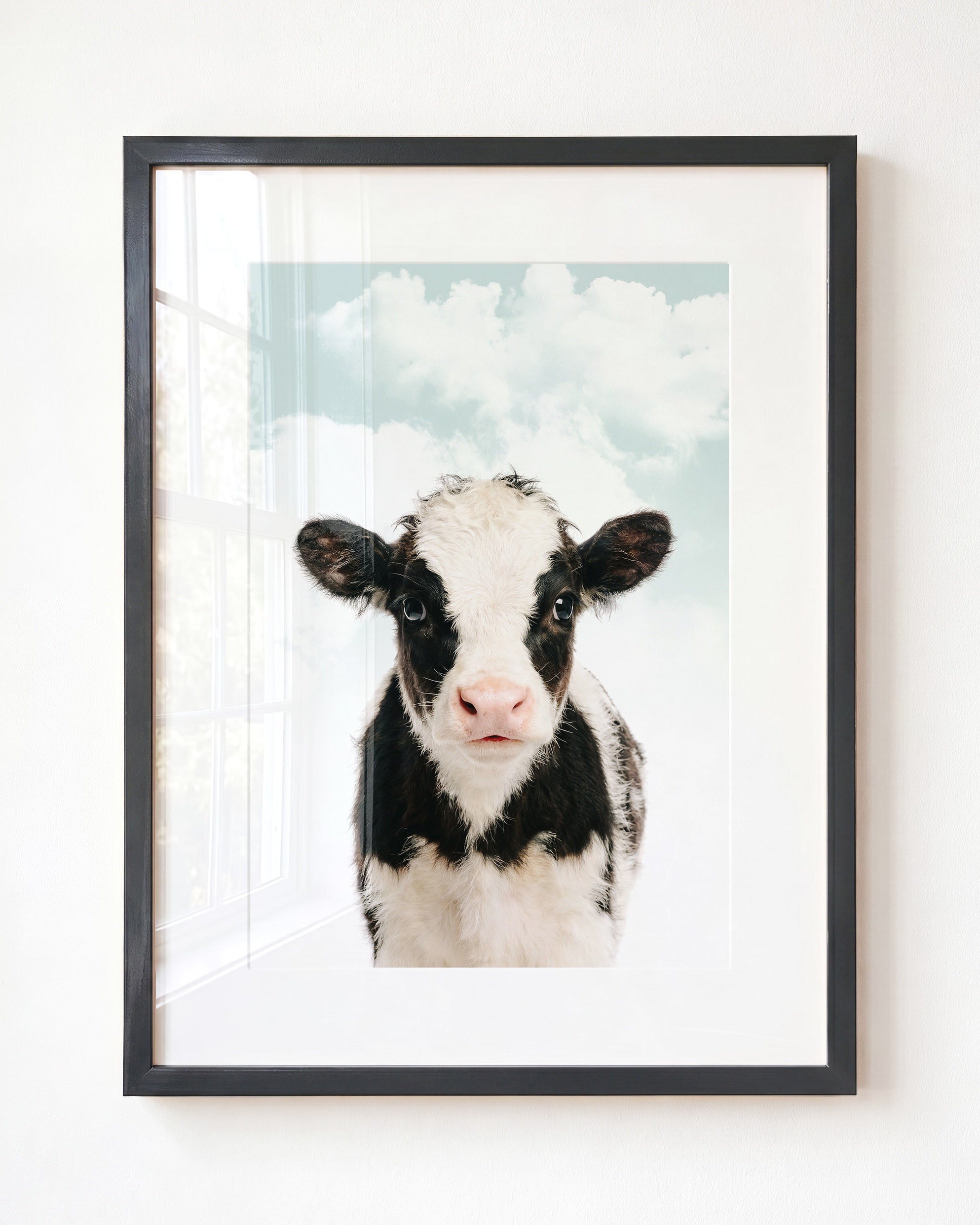 Baby Cow