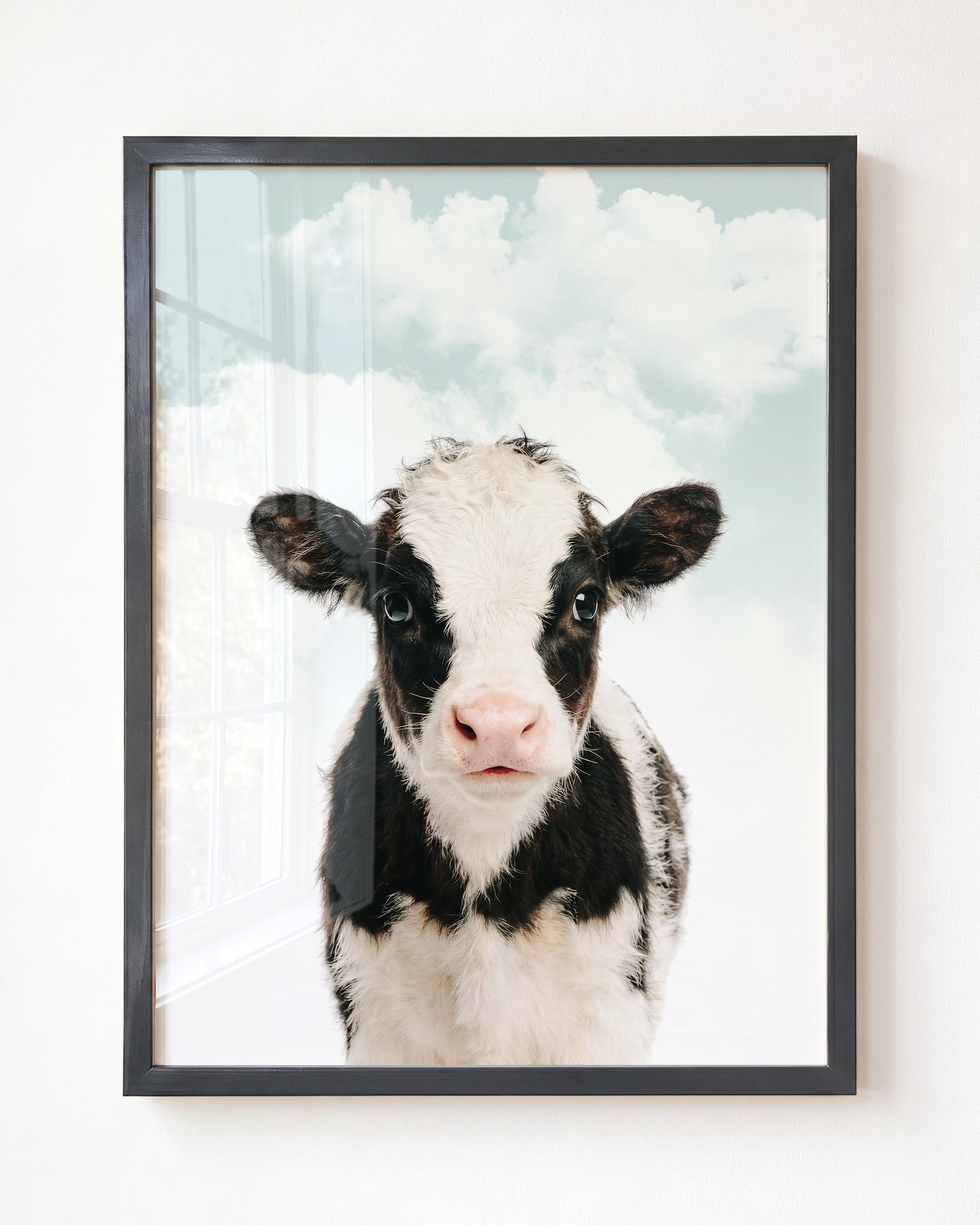 Baby Cow