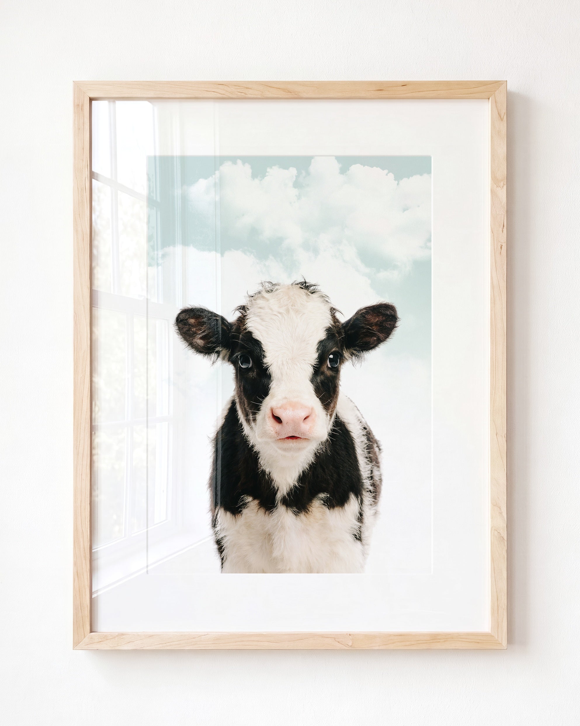 Baby Cow