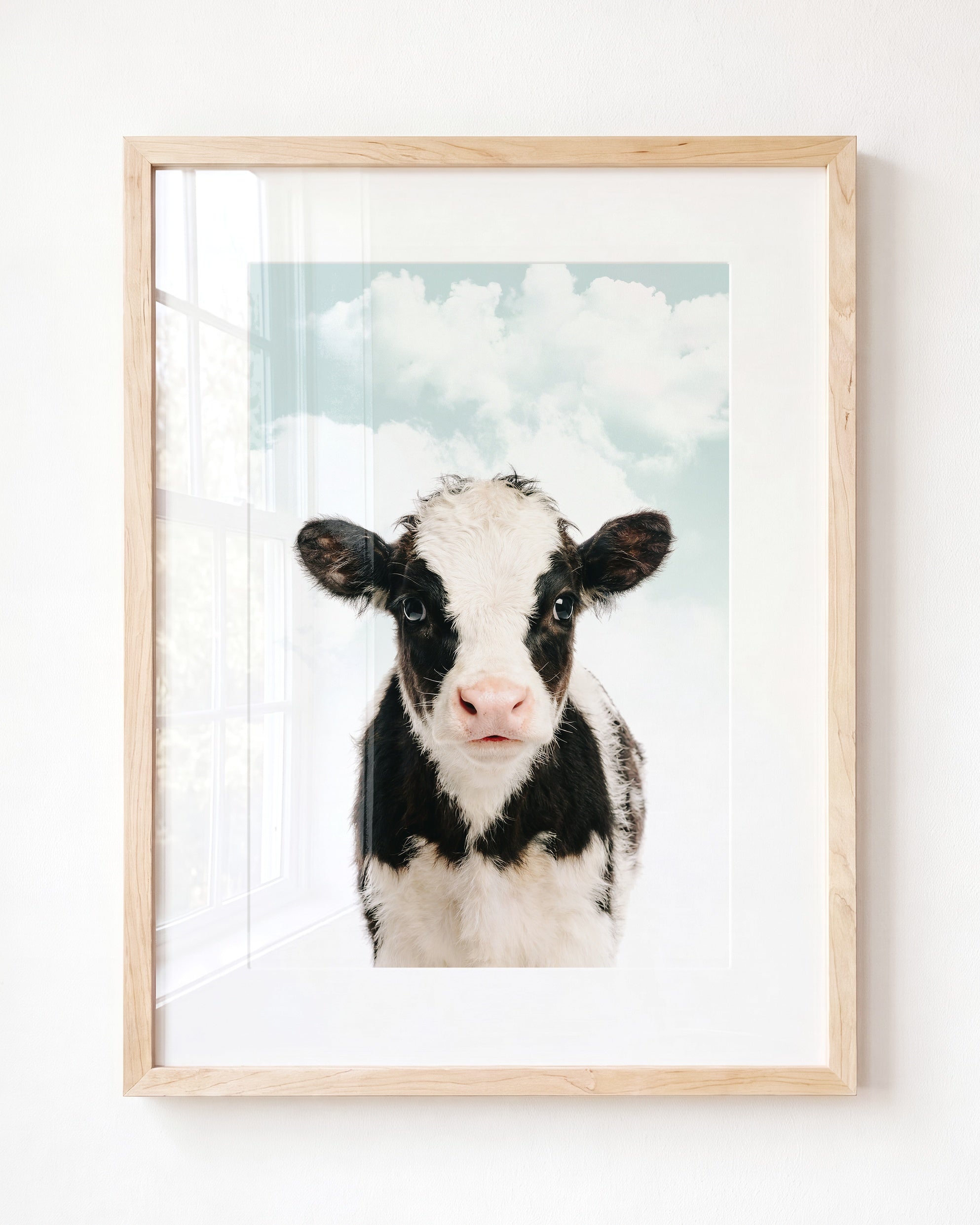 Baby Cow