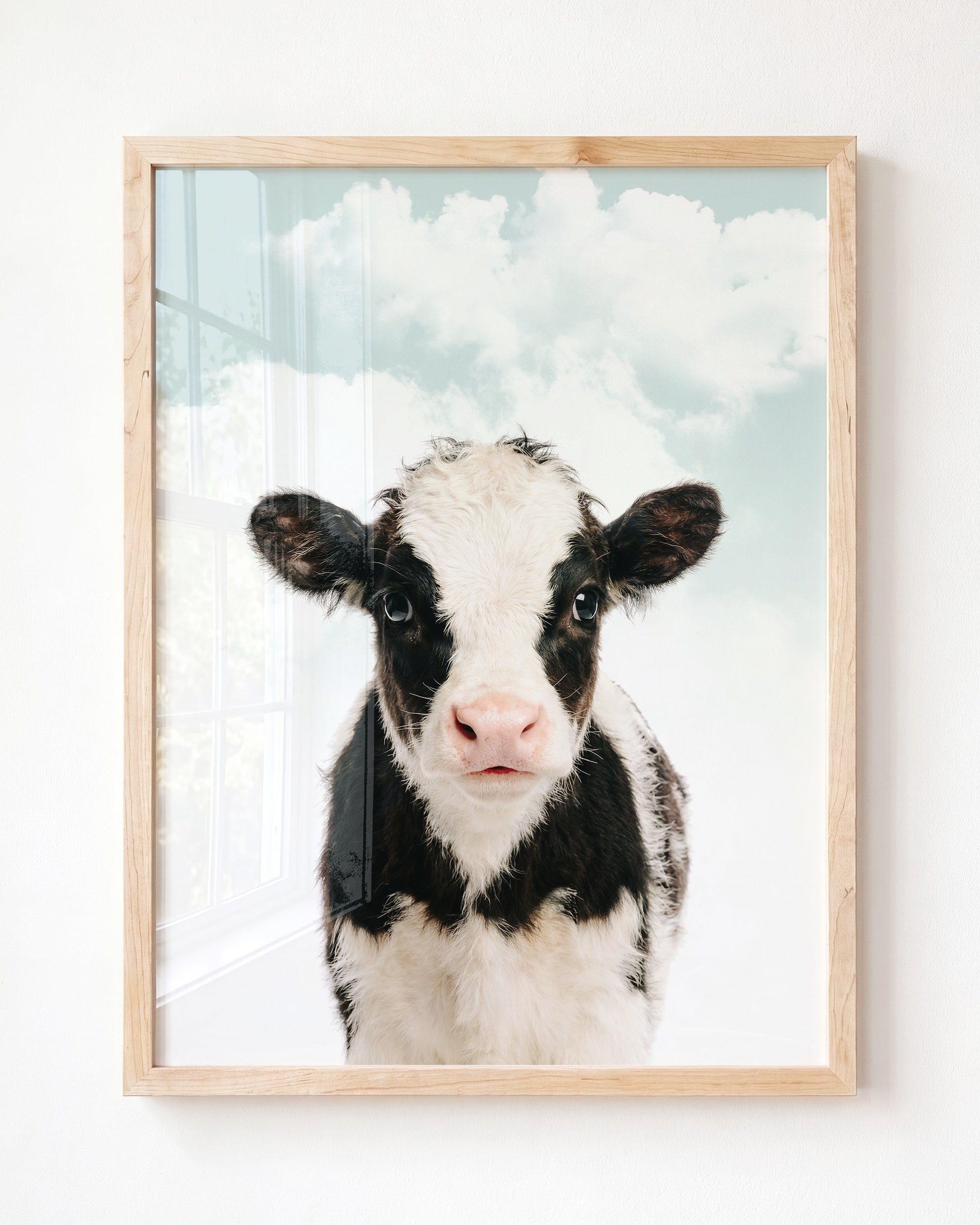 Baby Cow