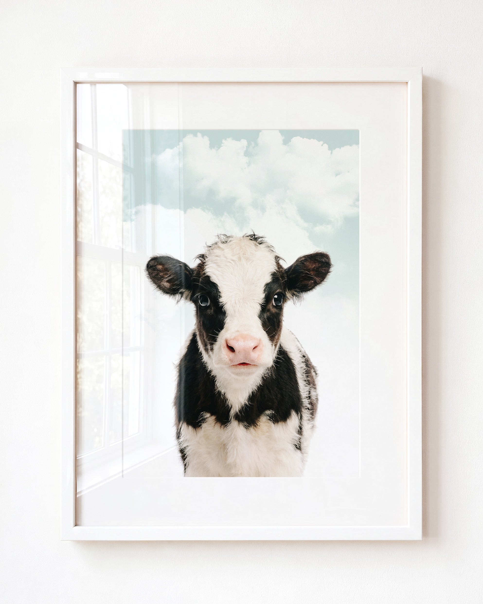 Baby Cow