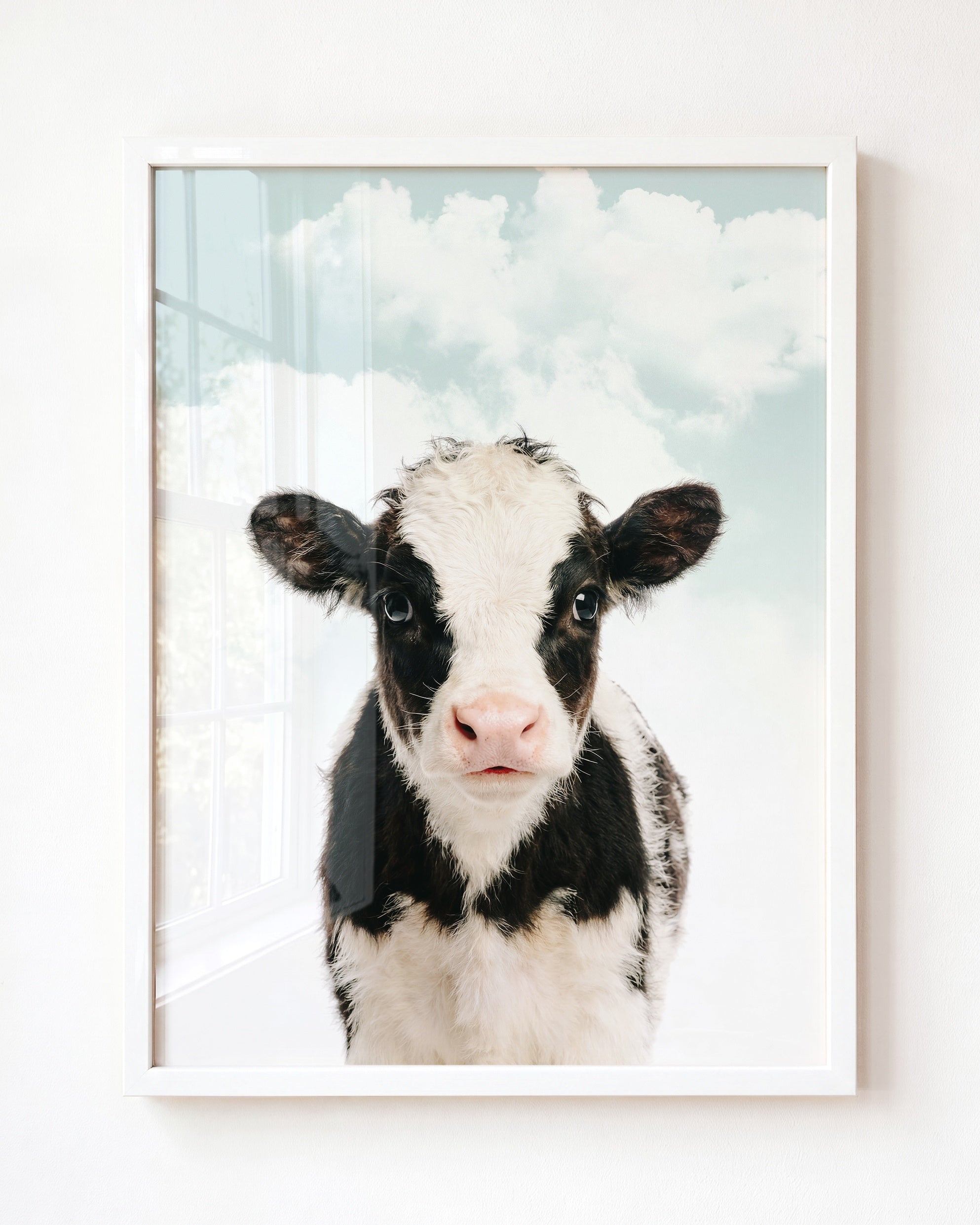 Baby Cow