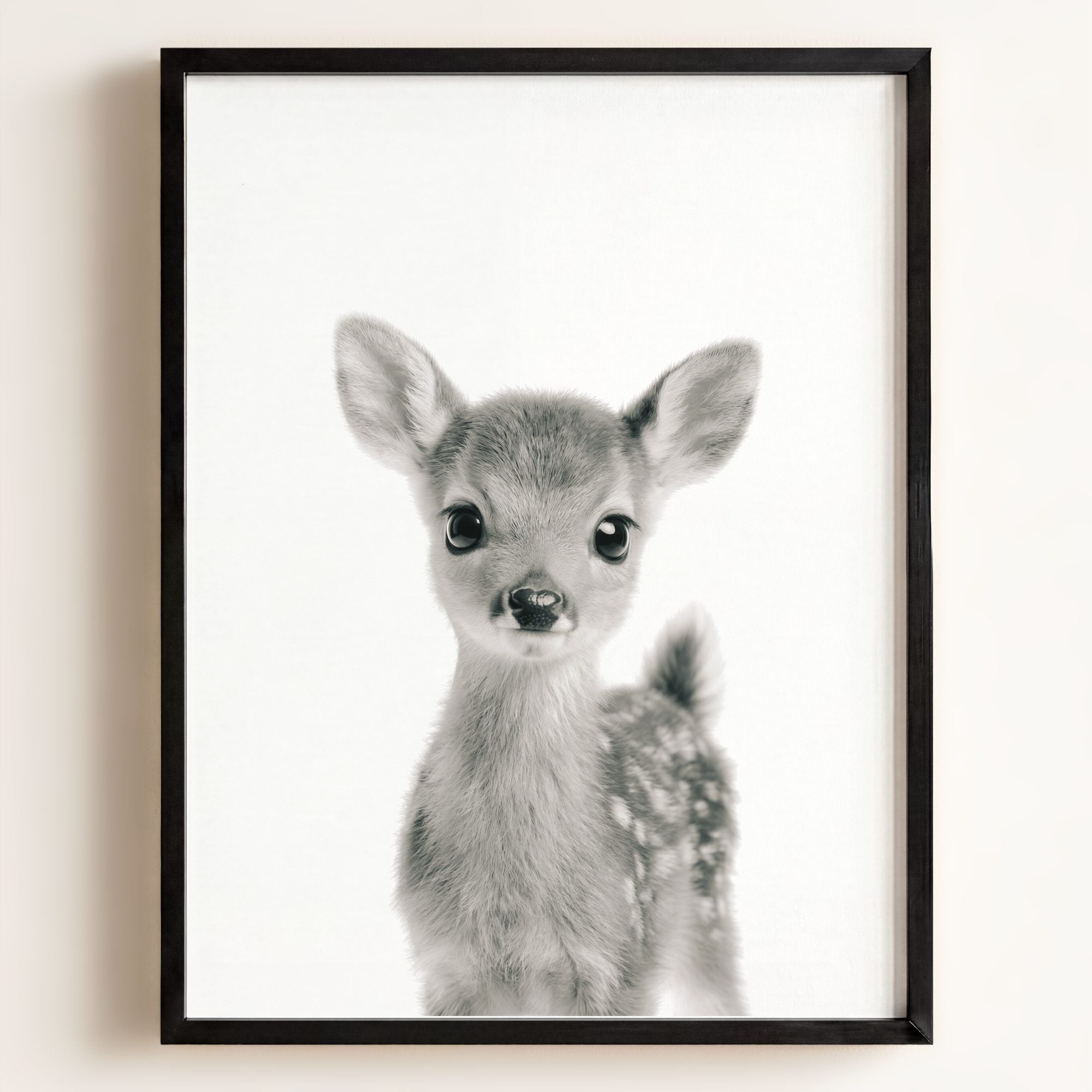 Baby Deer