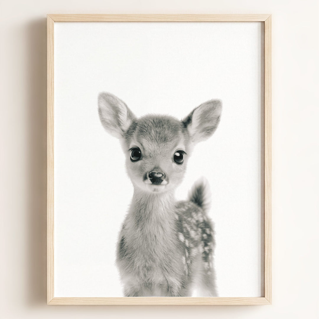 Baby Deer
