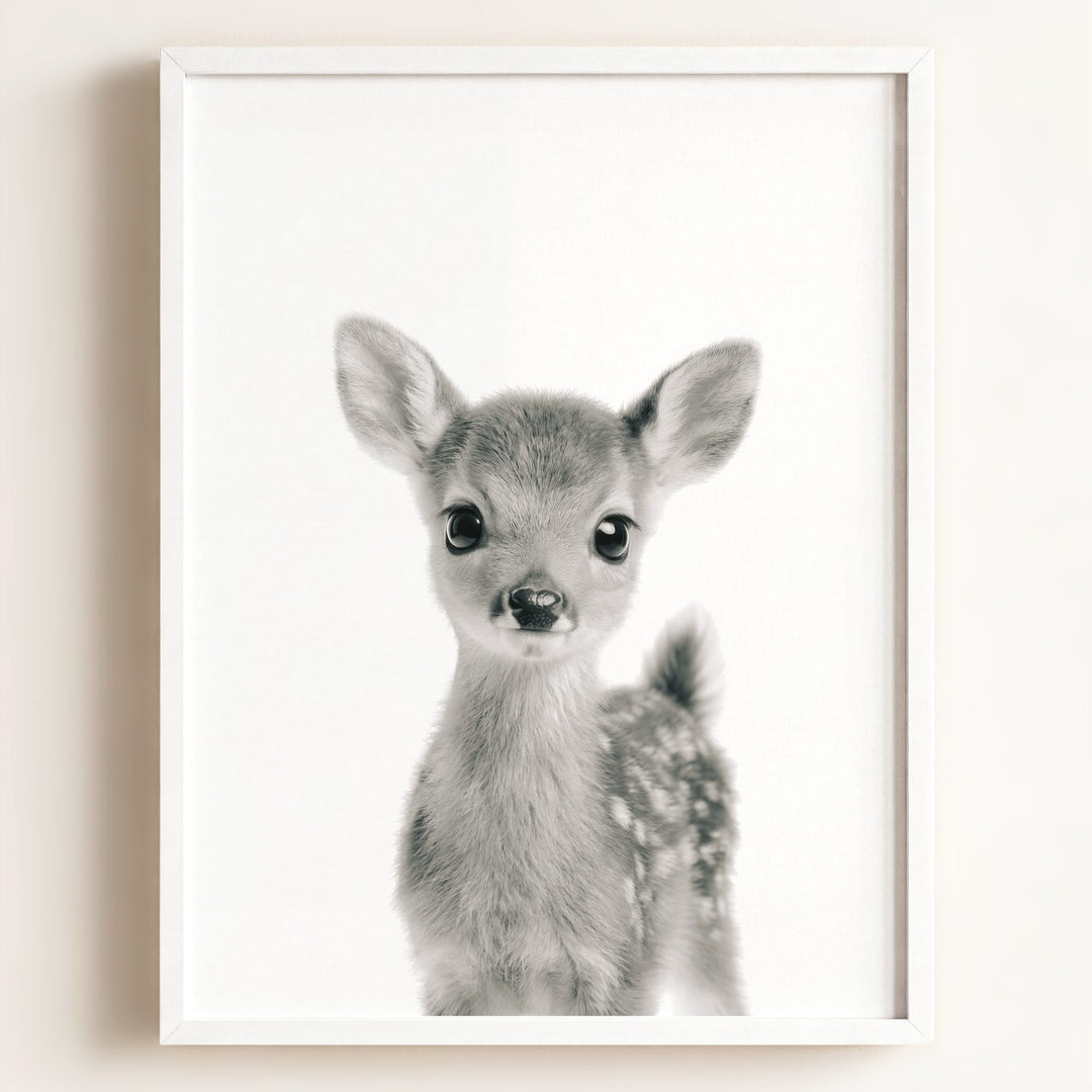 Baby Deer