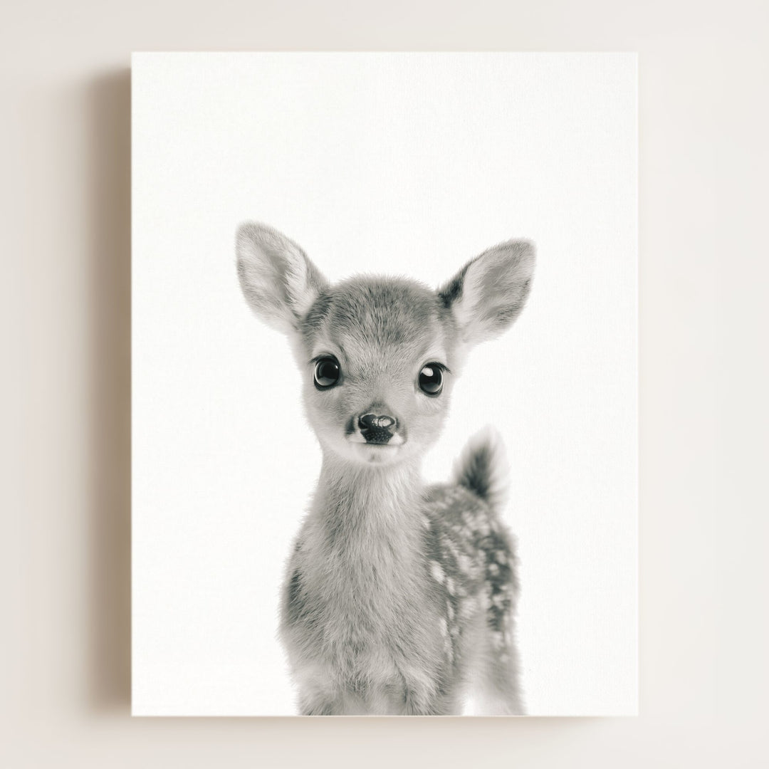 Baby Deer
