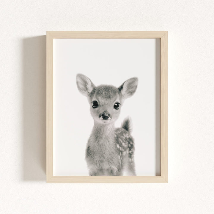 Baby Deer