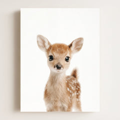 Baby Deer