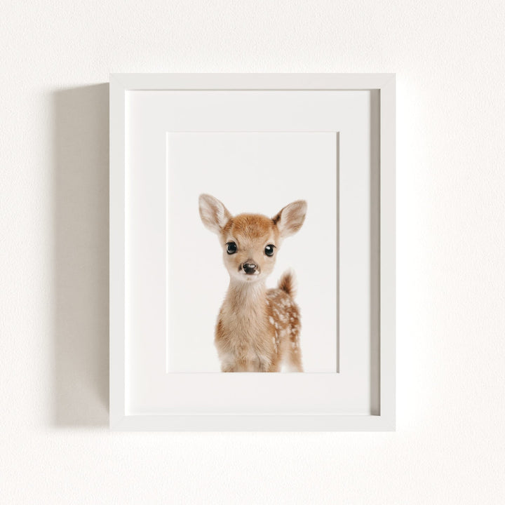 Baby Deer