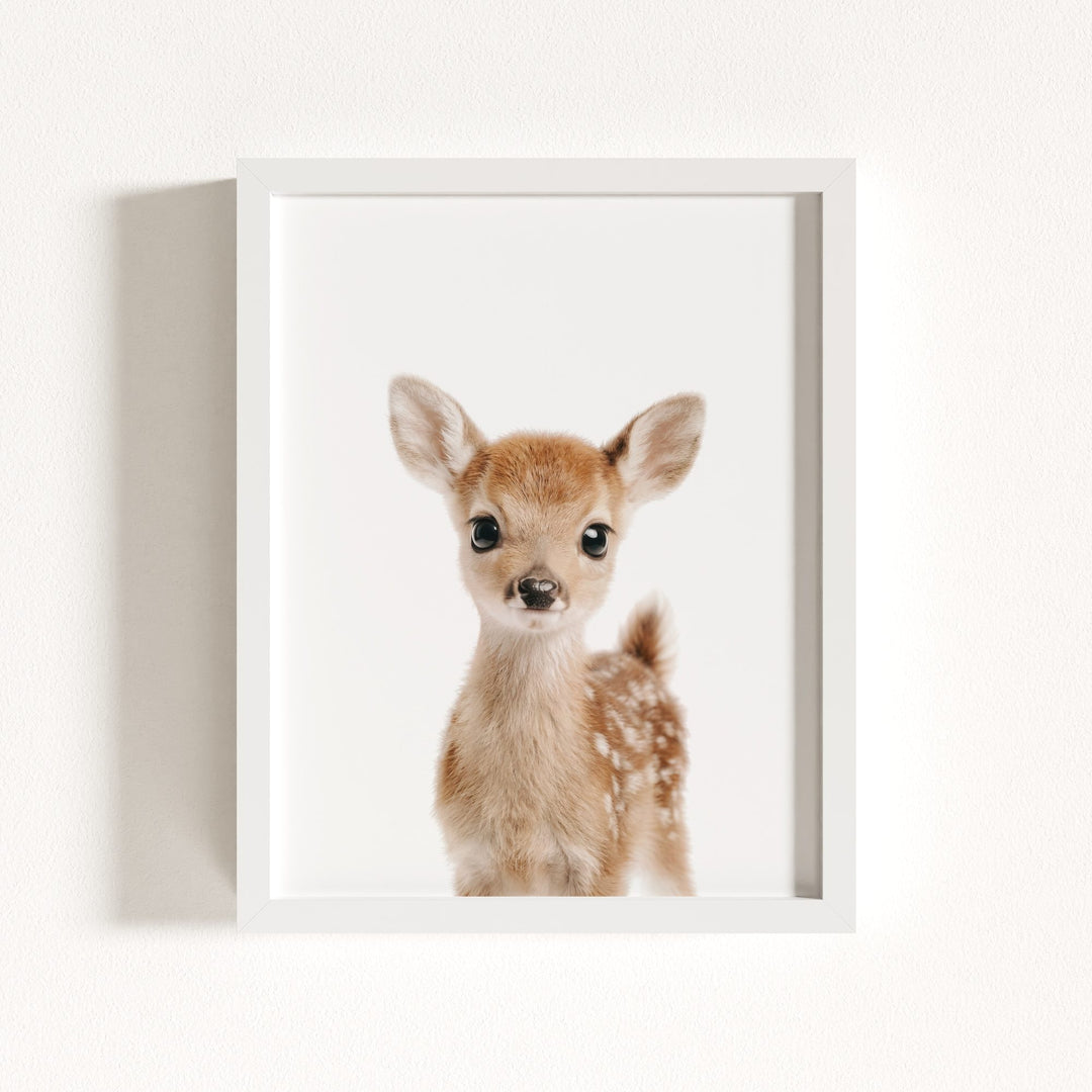 Baby Deer
