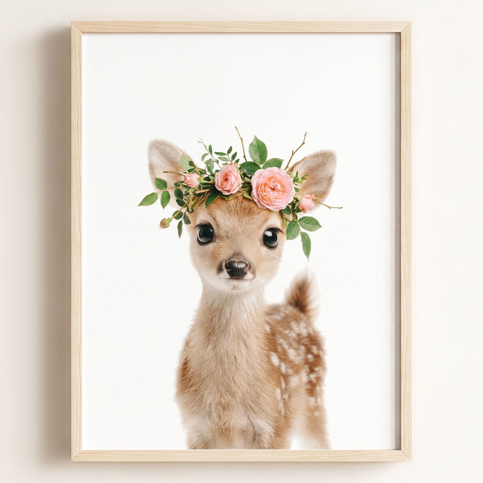 Baby Deer