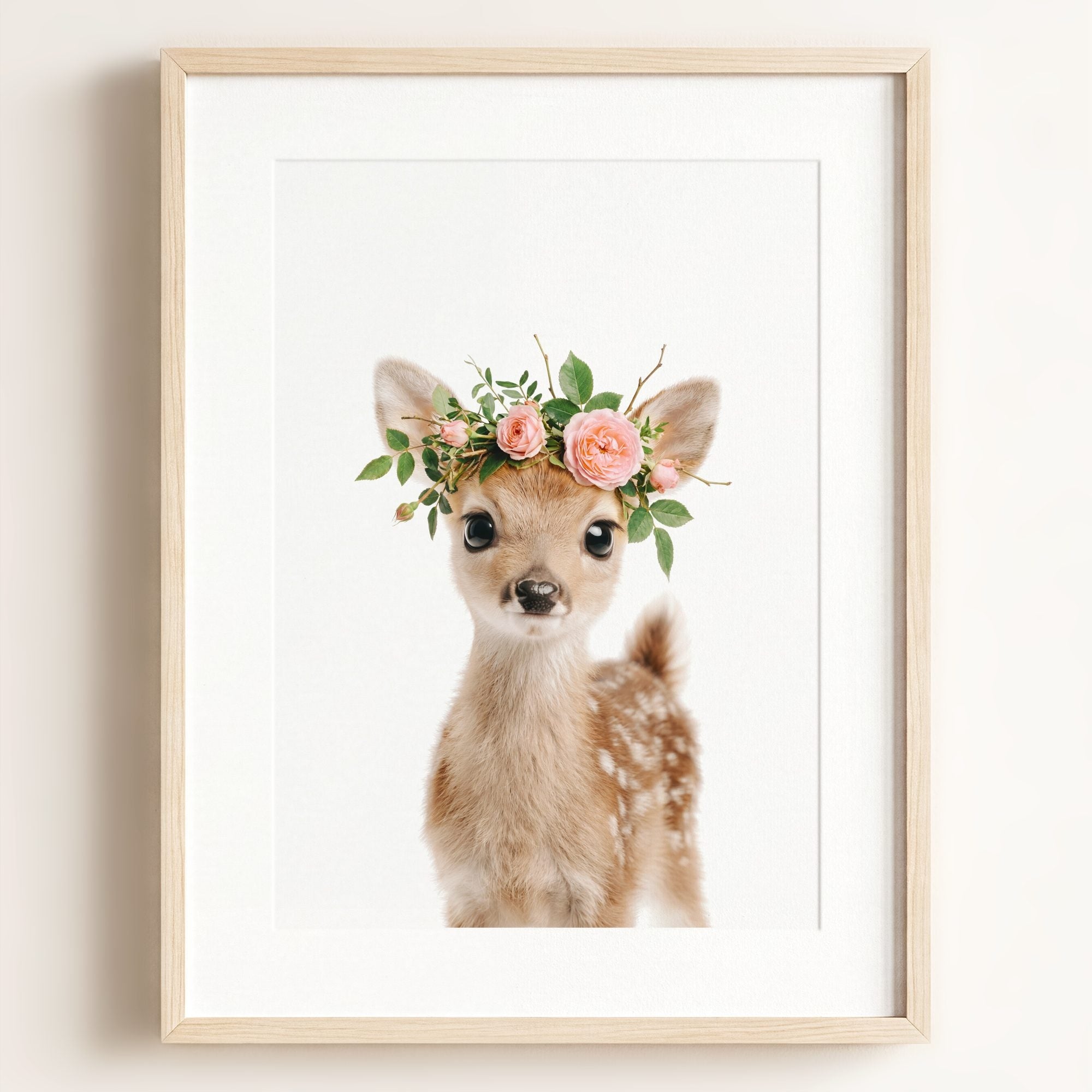Baby Deer