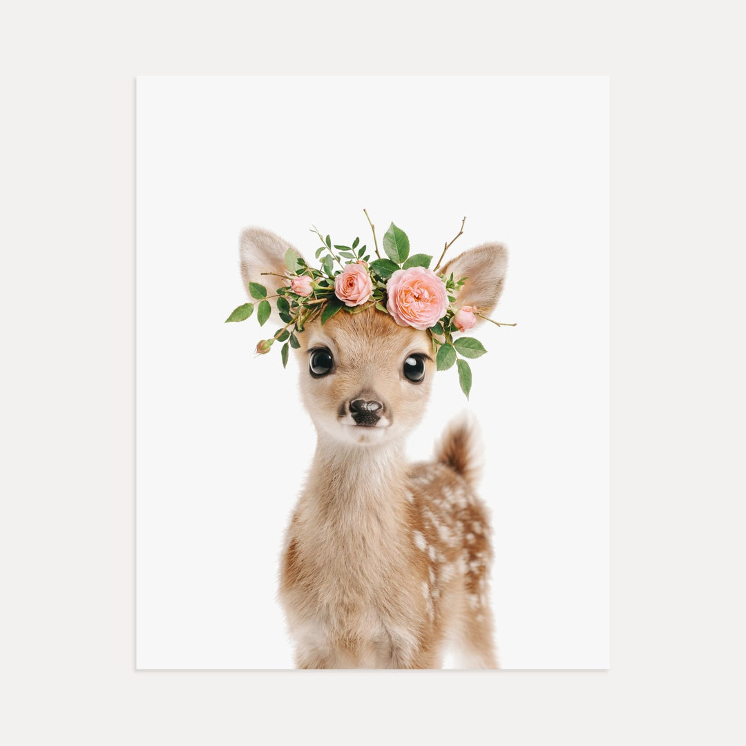 Baby Deer