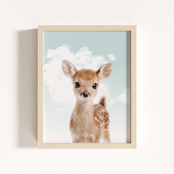 Baby Deer
