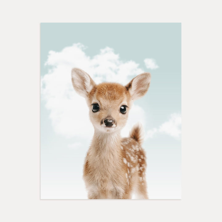Baby Deer