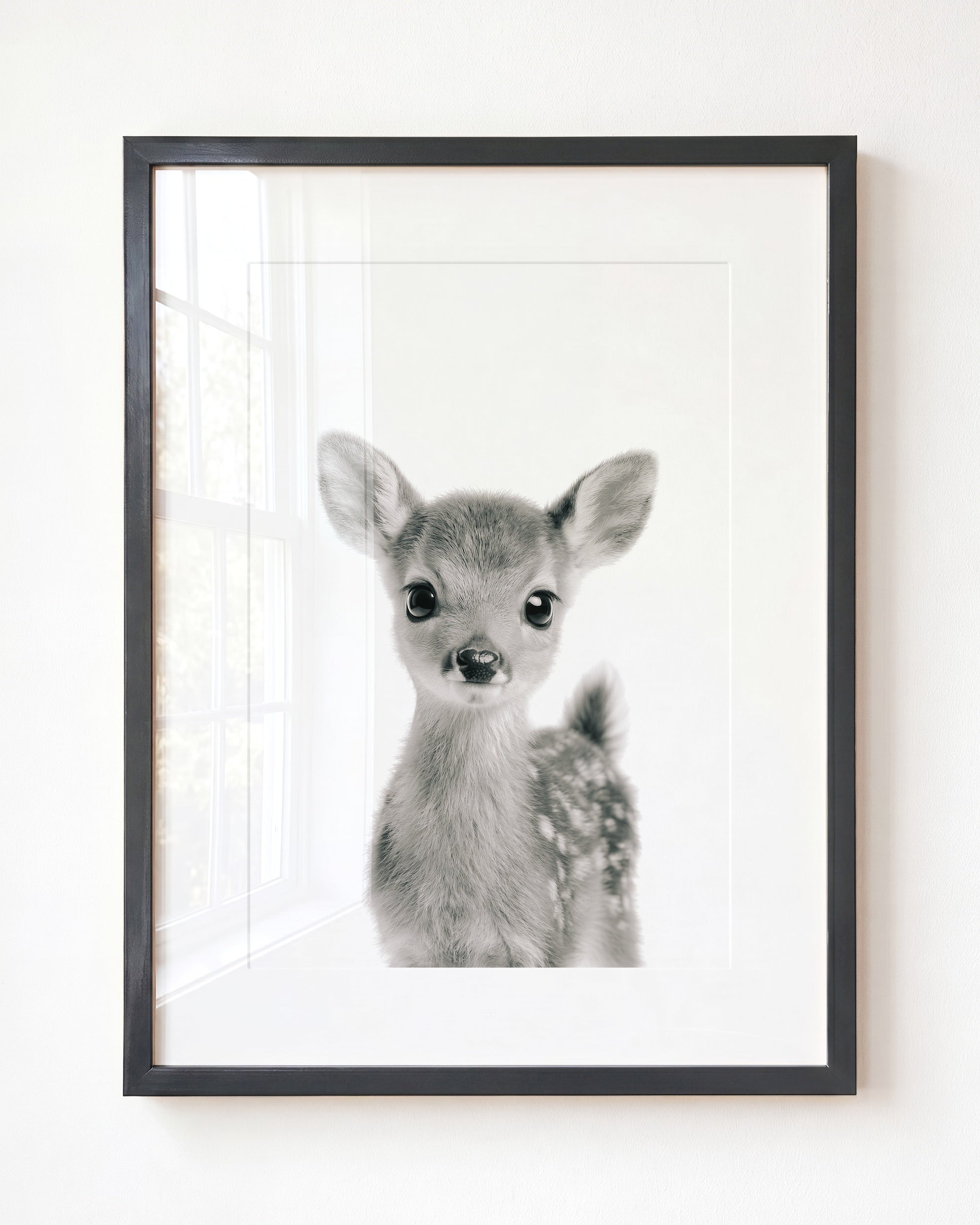Baby Deer
