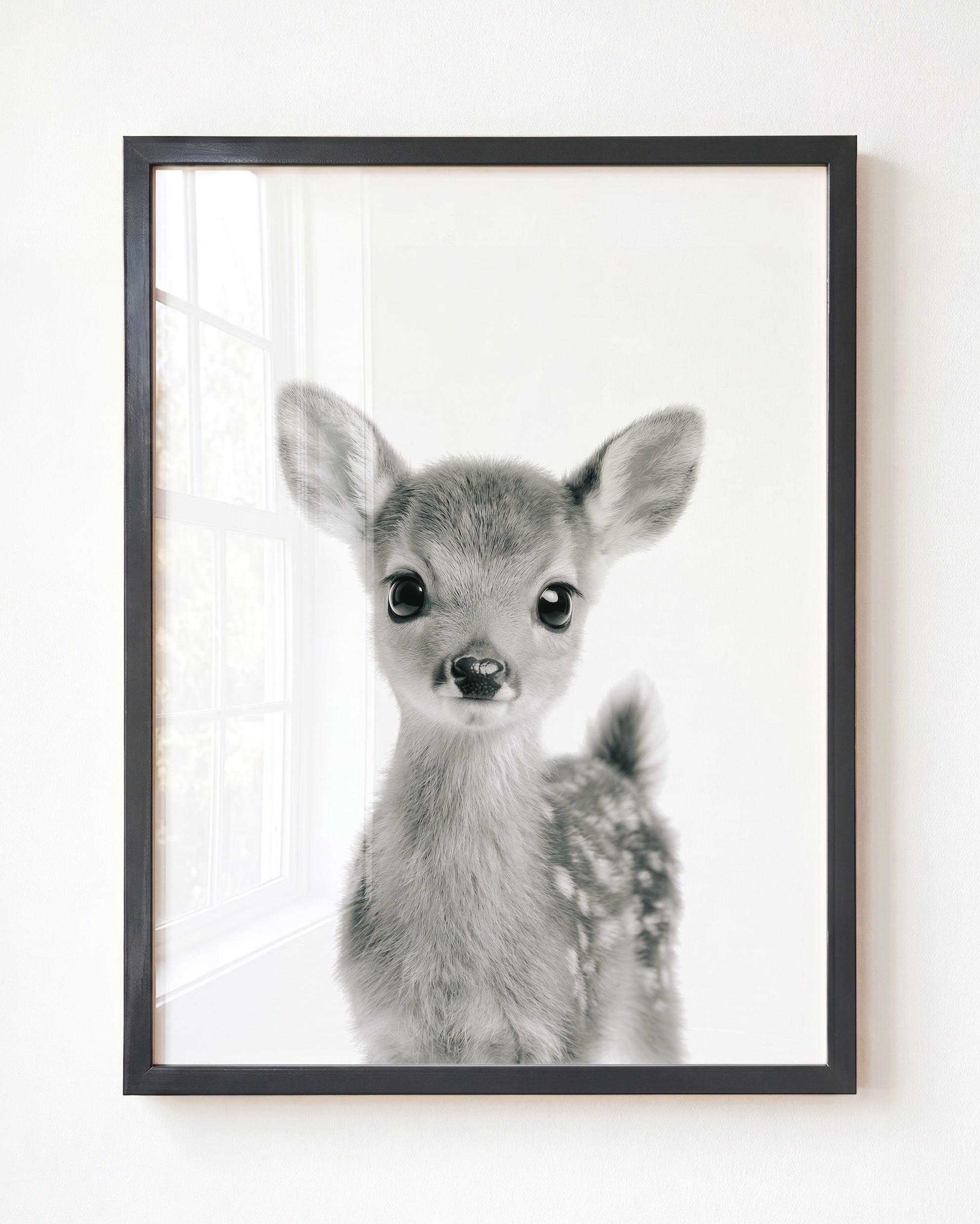 Baby Deer
