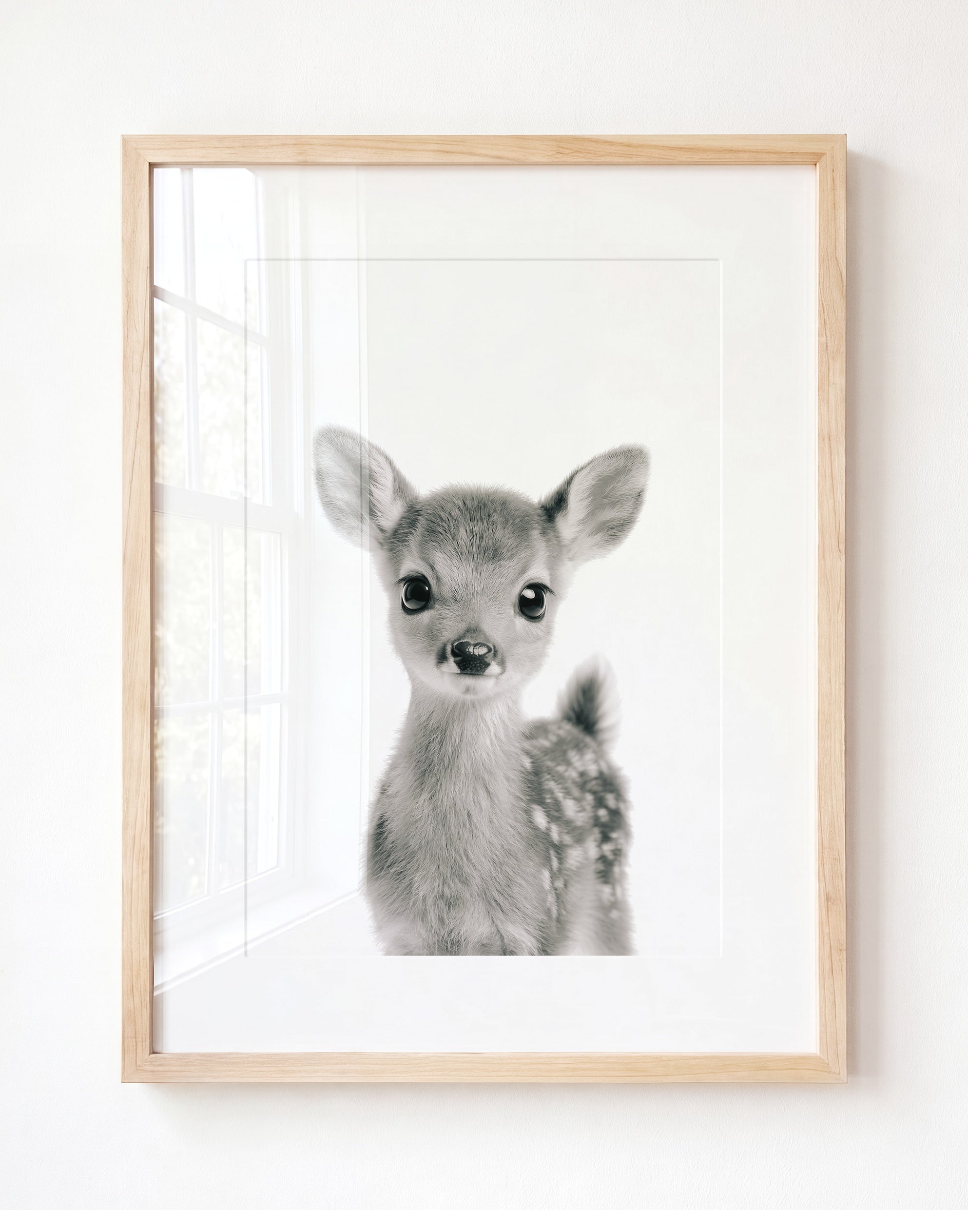 Baby Deer