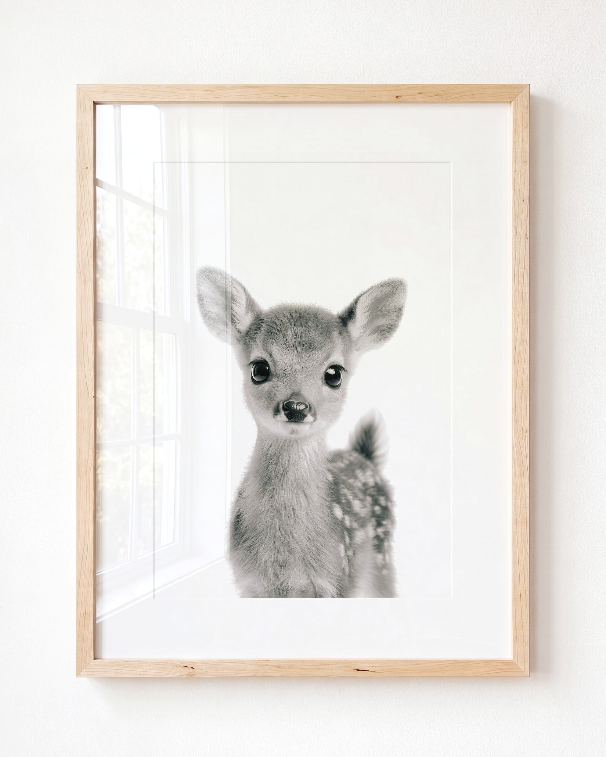 Baby Deer