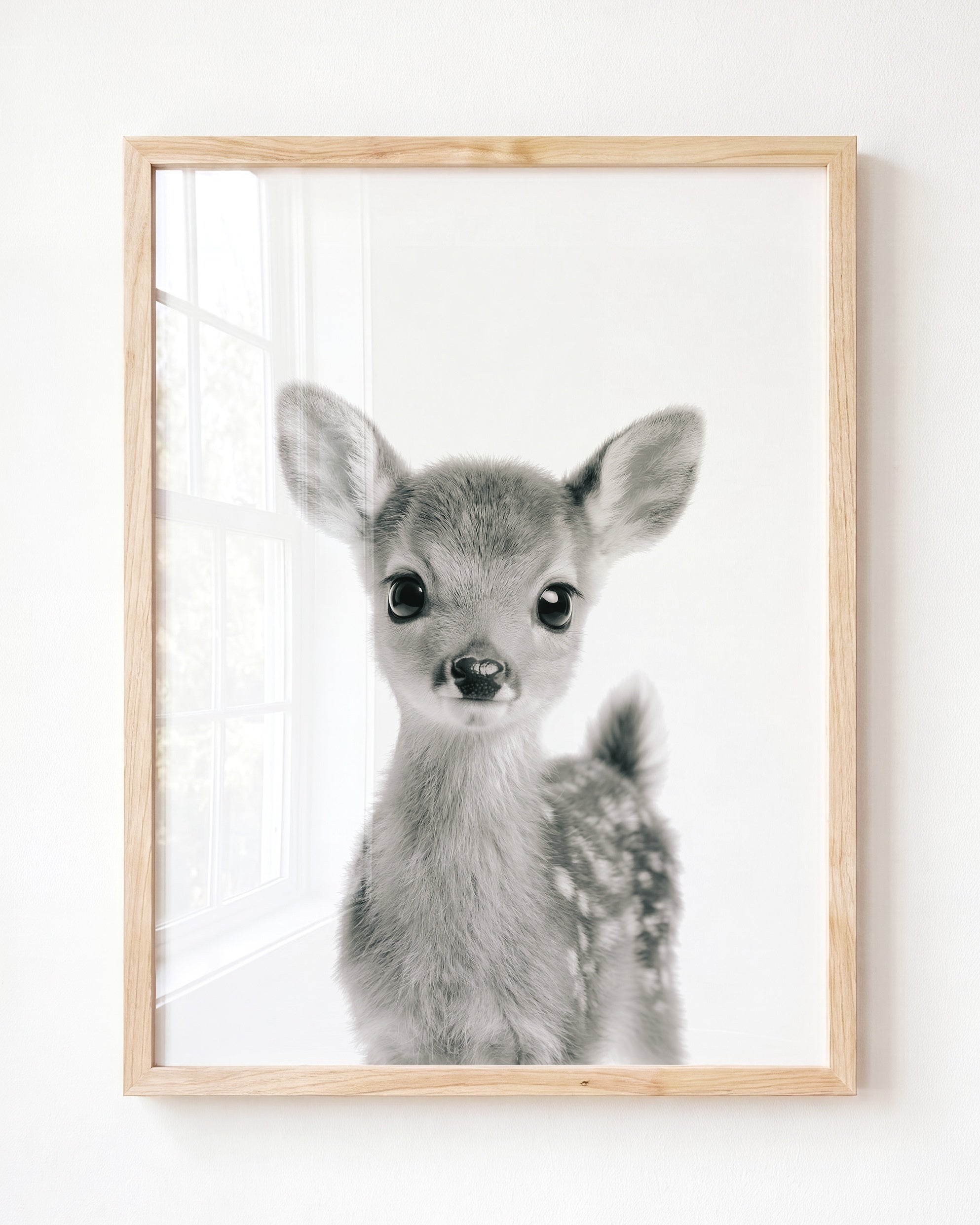 Baby Deer