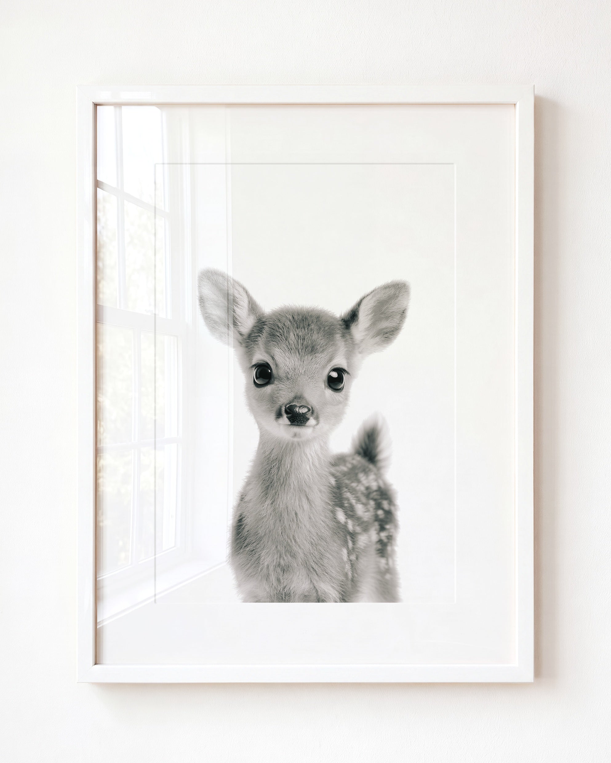 Baby Deer