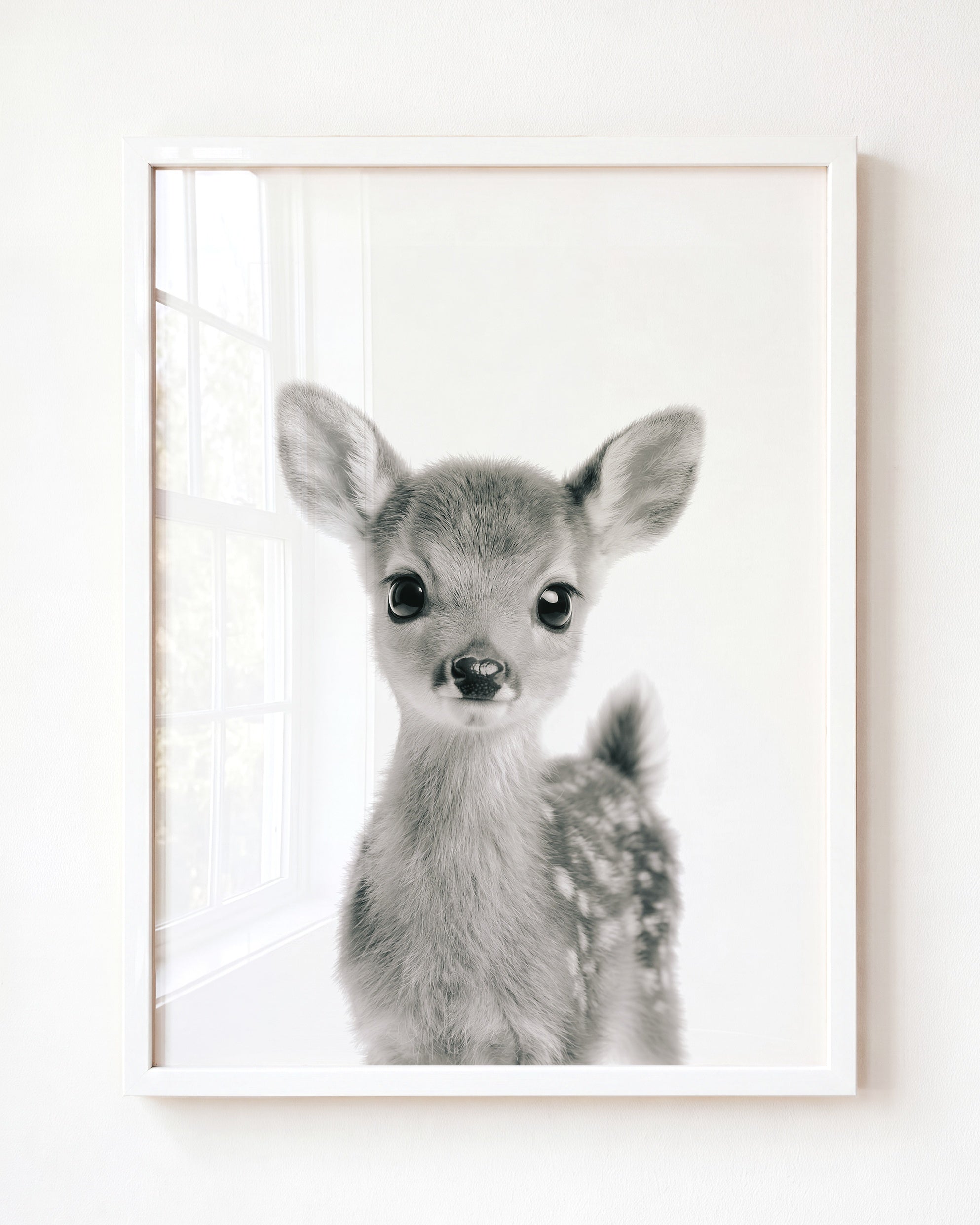 Baby Deer