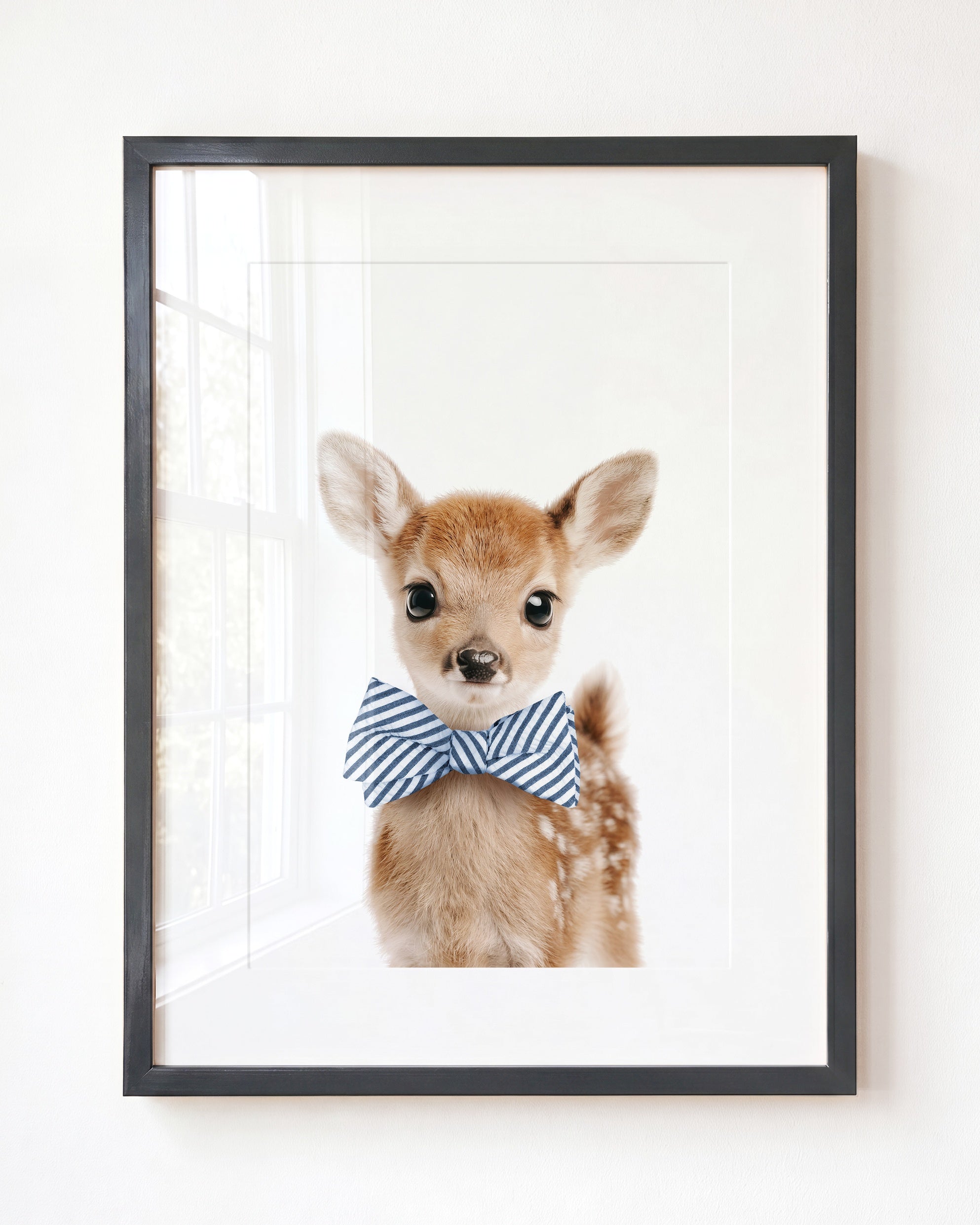 Baby Deer