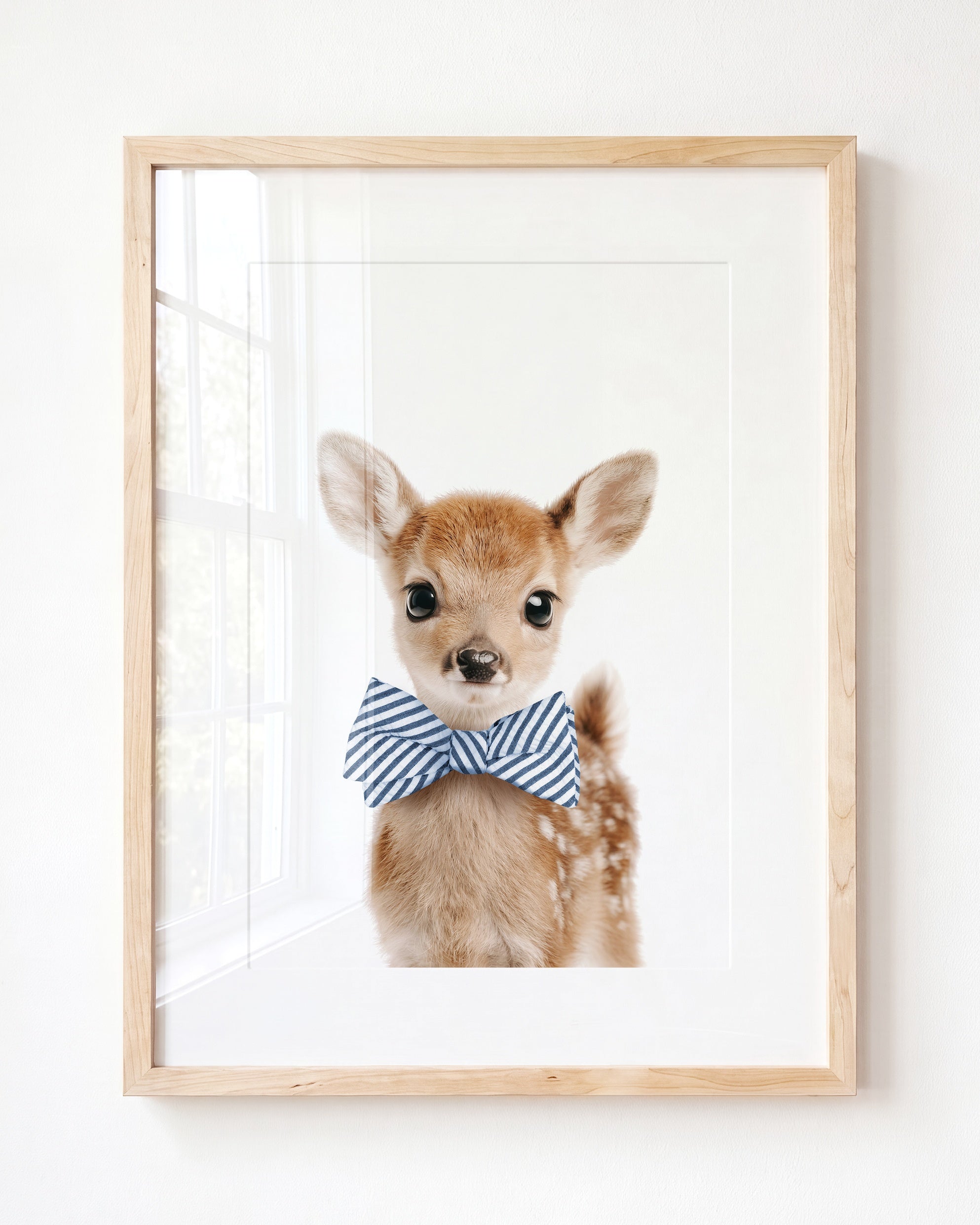 Baby Deer