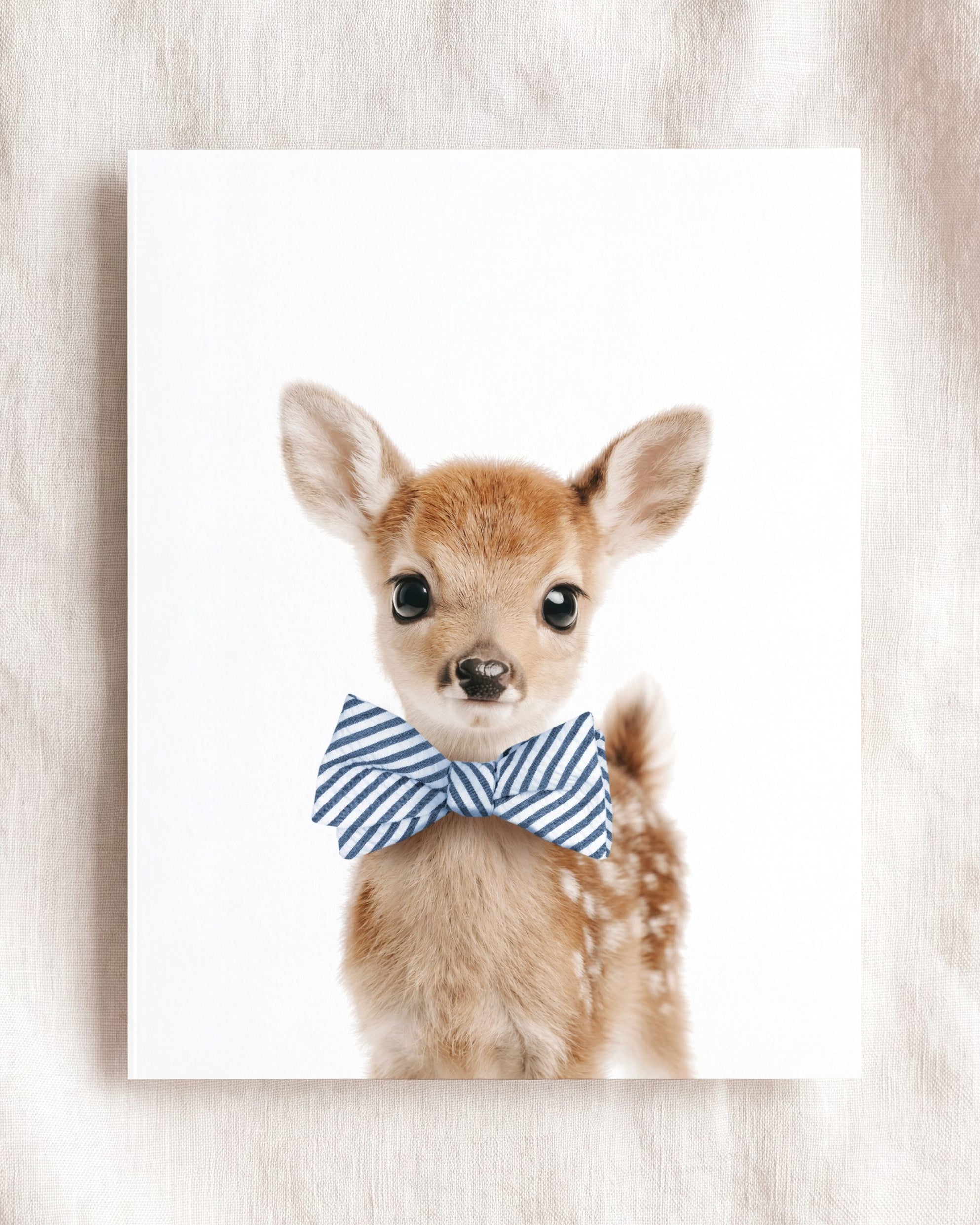 Baby Deer