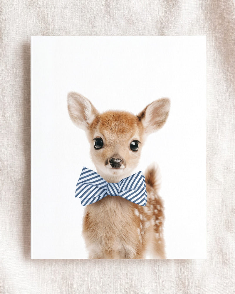 Bow Tie Cornflower
